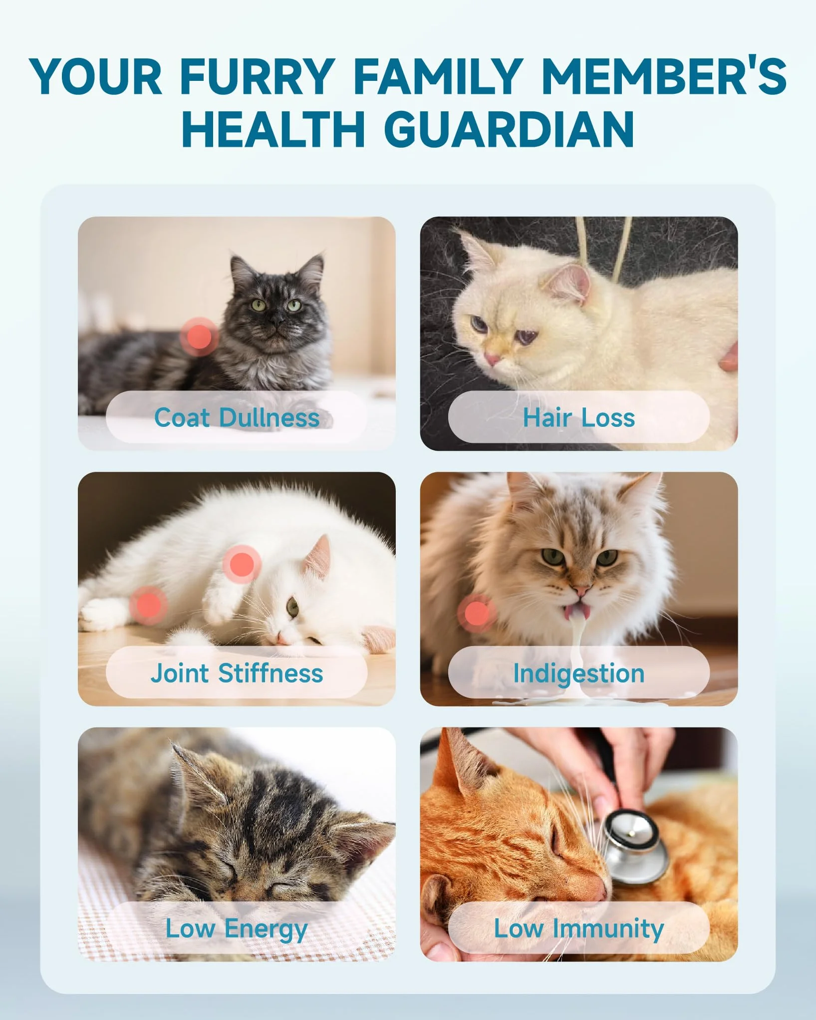 Eagou Diary Collagène pour Chats - Supplément Articulations, Peau et Pelage, MSM, Glucosamine, Huile de Coco, Vitamine E, 60ml