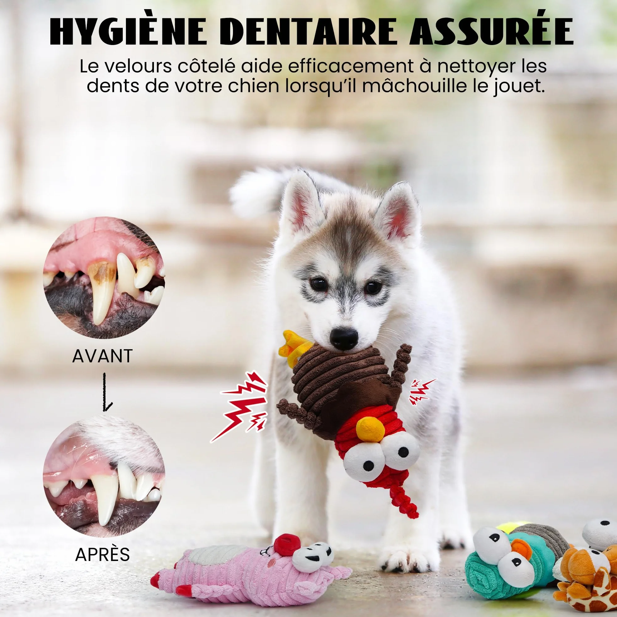 Jouet Chien Nocciola Lot De 5 avec Couineur Papier Bruissant, Jouets Interactifs en Peluche Durable pour Petite, Moyenne et Grande