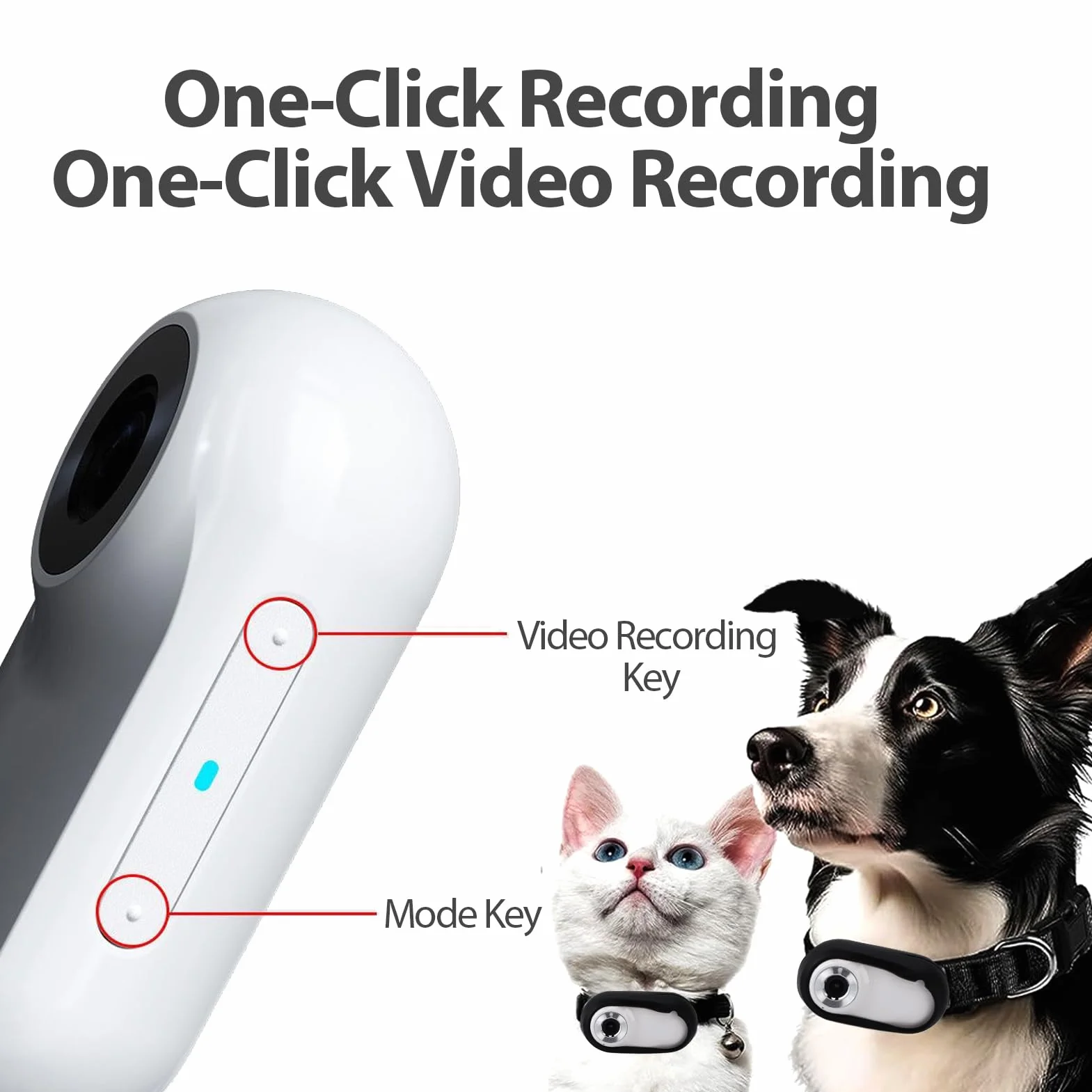 Caméra pour Collier pour Animaux de Compagnie Denash, écran LCD 1080P Grand Angle 170° Rechargeable USB