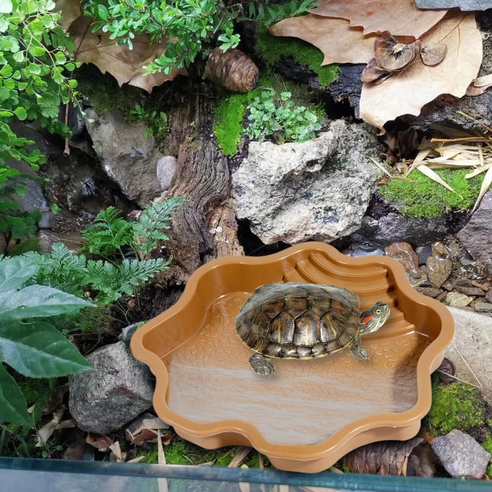 Piscine de Bain pour Reptiles – Bol d'eau et de Nourriture pour avec marches | Baignoire pour et Nourriture pour Gecko lézard Accessoires de décoration