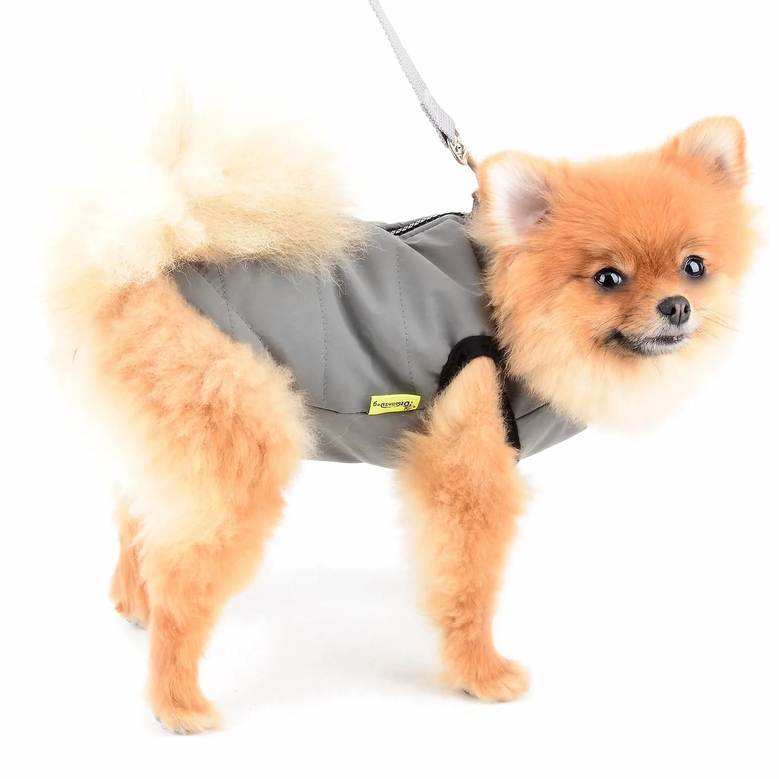 Veste d'hiver imperméable pour chien avec anneaux en D, manteau matelassé taille S gris
