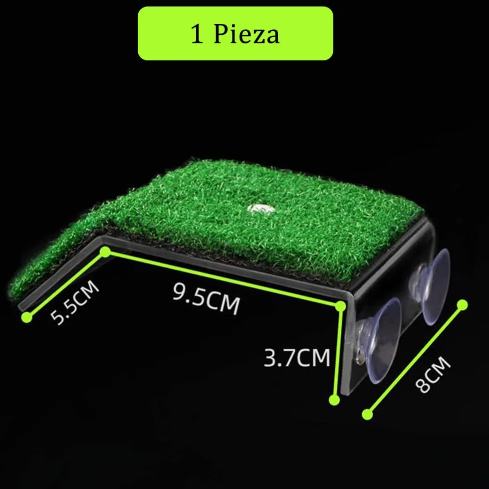 Plate-forme de repos pour tortue Voarge, antidérapant, petite terrine