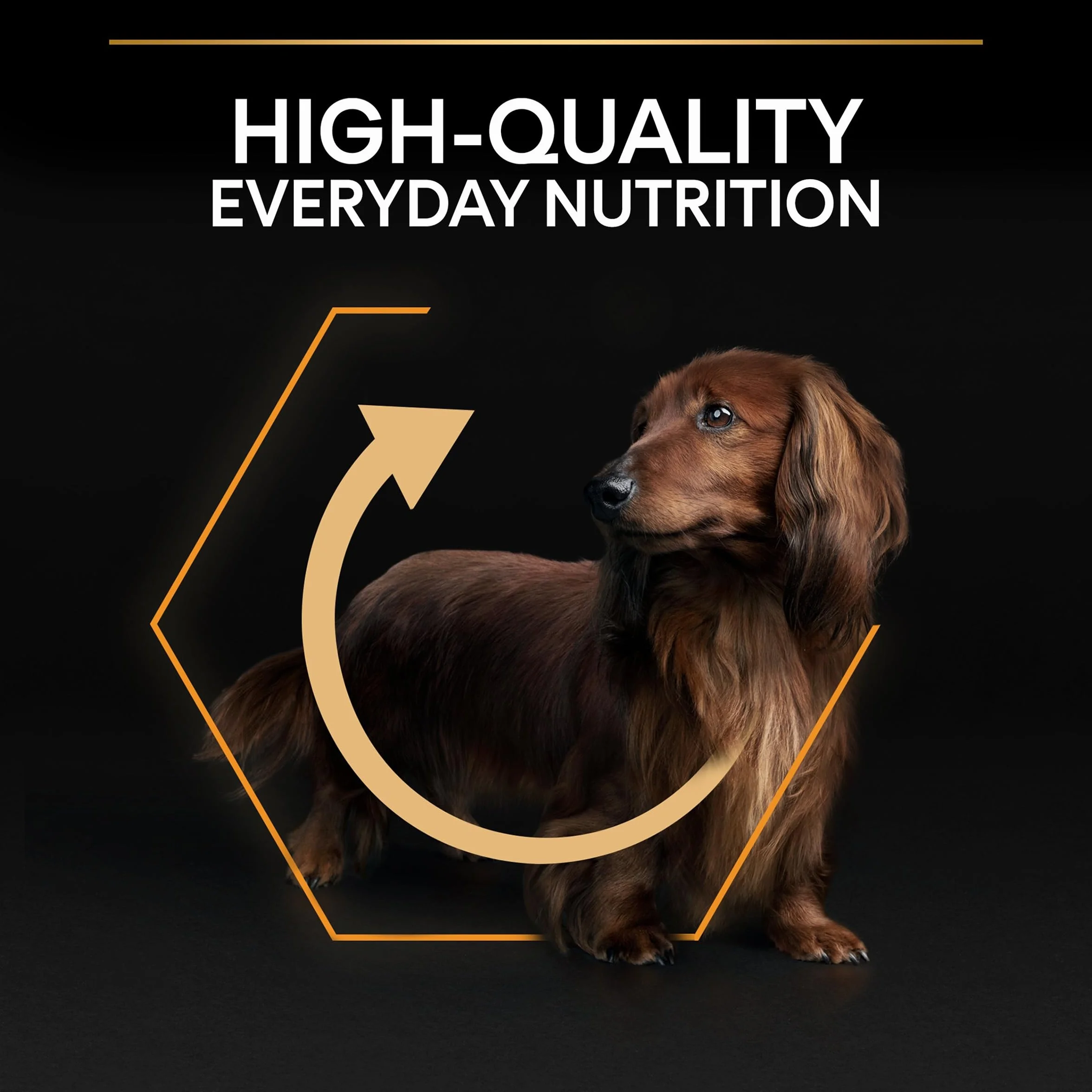 PURINA PRO PLAN Small & Mini Adult Everyday Nutrition Croquettes Chien Adulte Riche en Poulet 3kg
