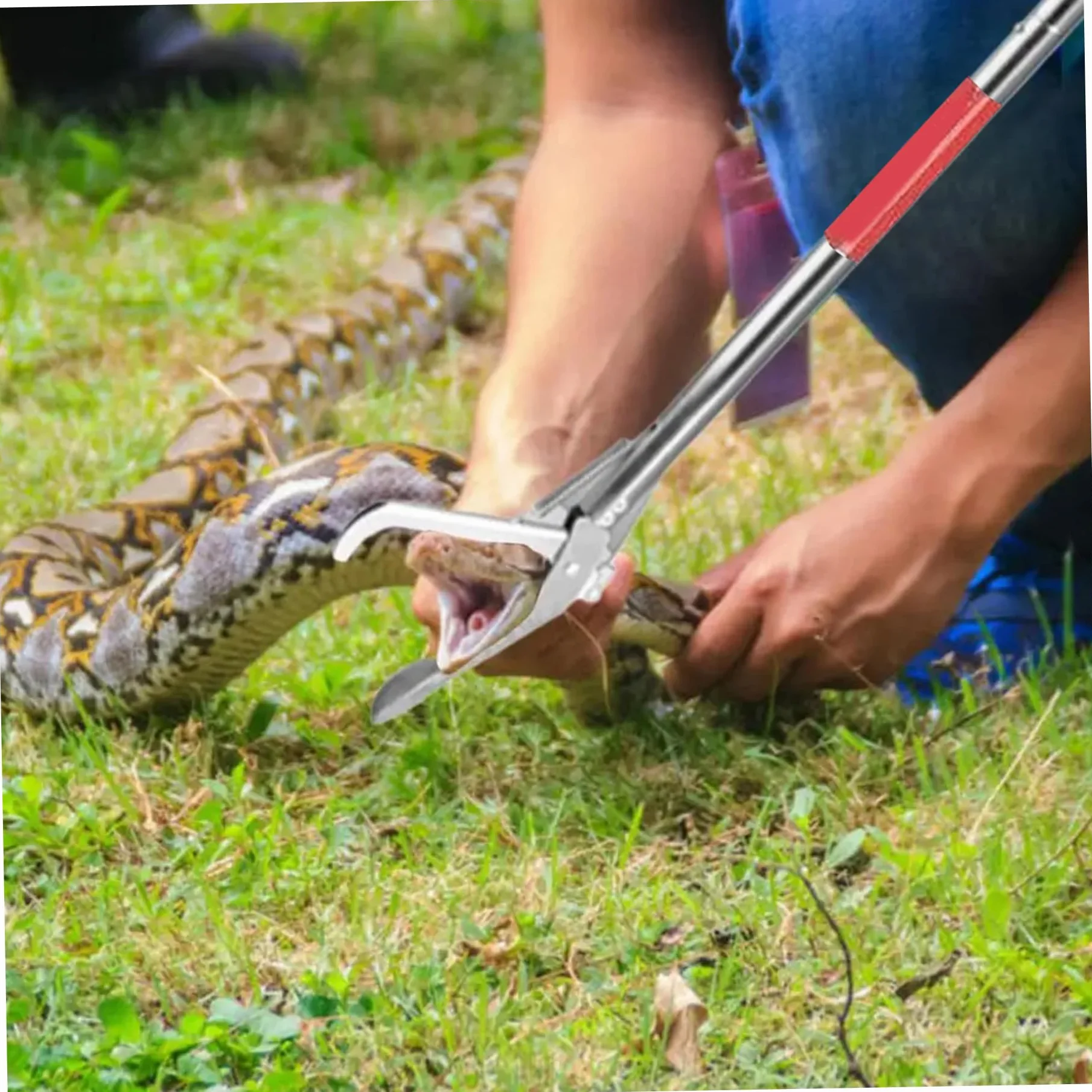 Snake Grabber Tool 50 3 Sections Acier Inoxydable Portable pour Anguille Poisson Reptile