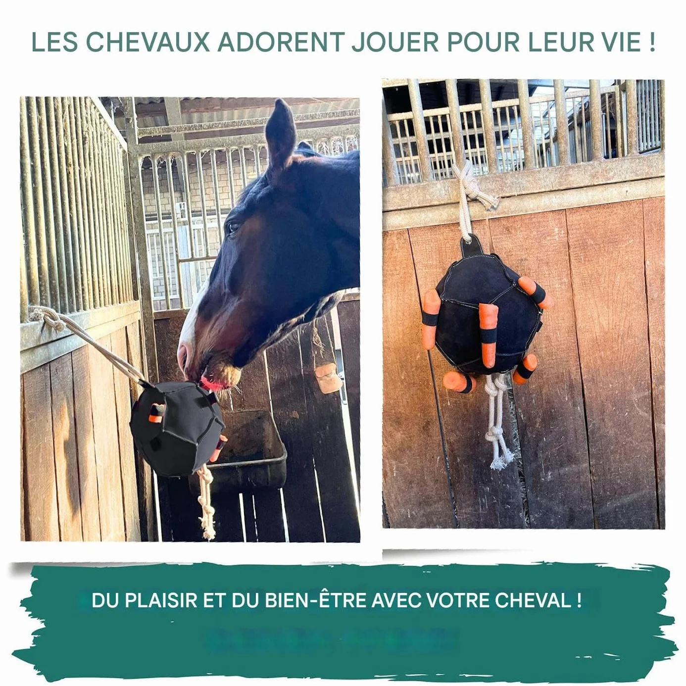 Distributeur Suspendu Nourriture Chevaux, Jeu Interactif Anti-Stress Anti-Ennui Bovins Moutons Chèvres Ferme
