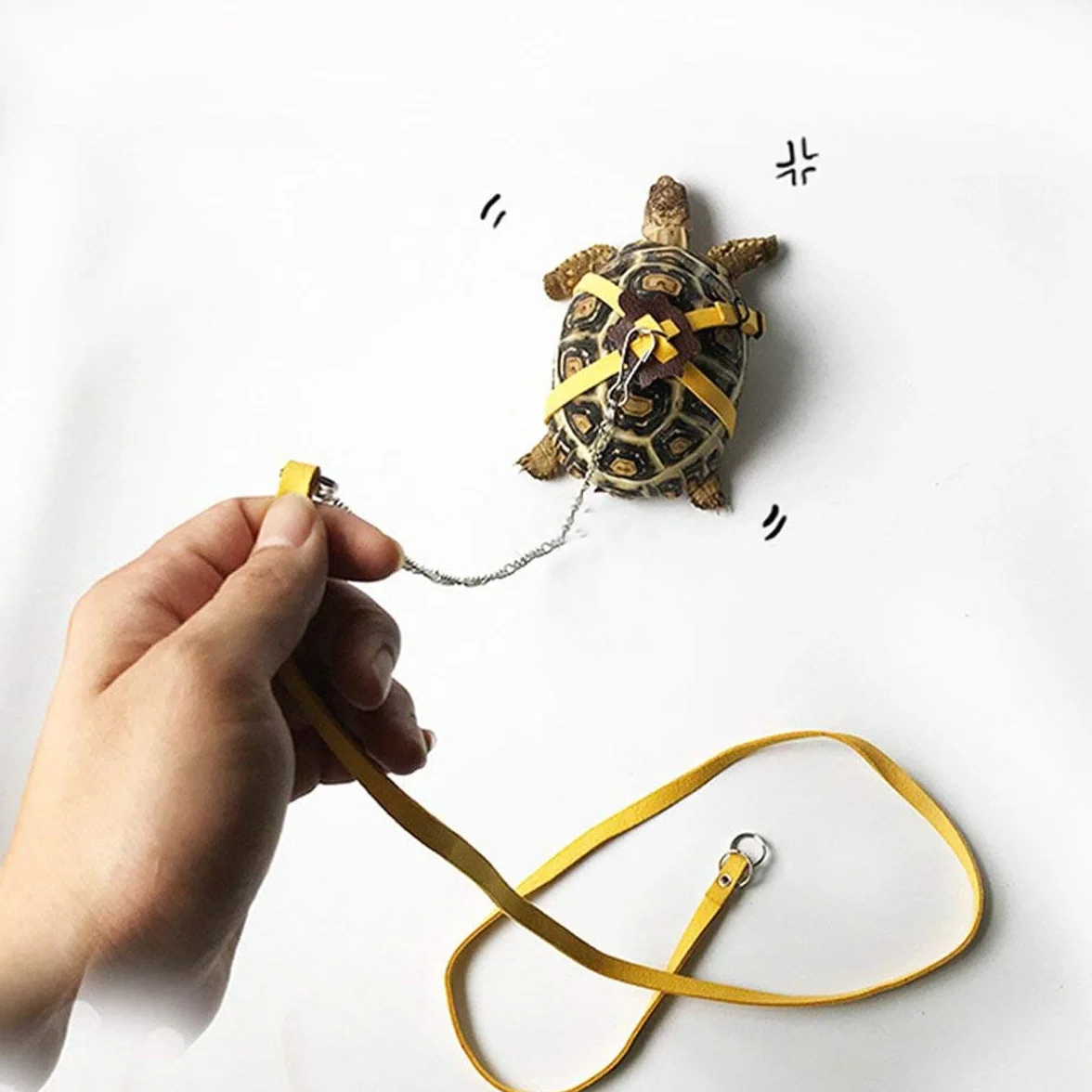 Harnais en Cuir pour Tortue de Compagnie, Corde de Marche Réglable