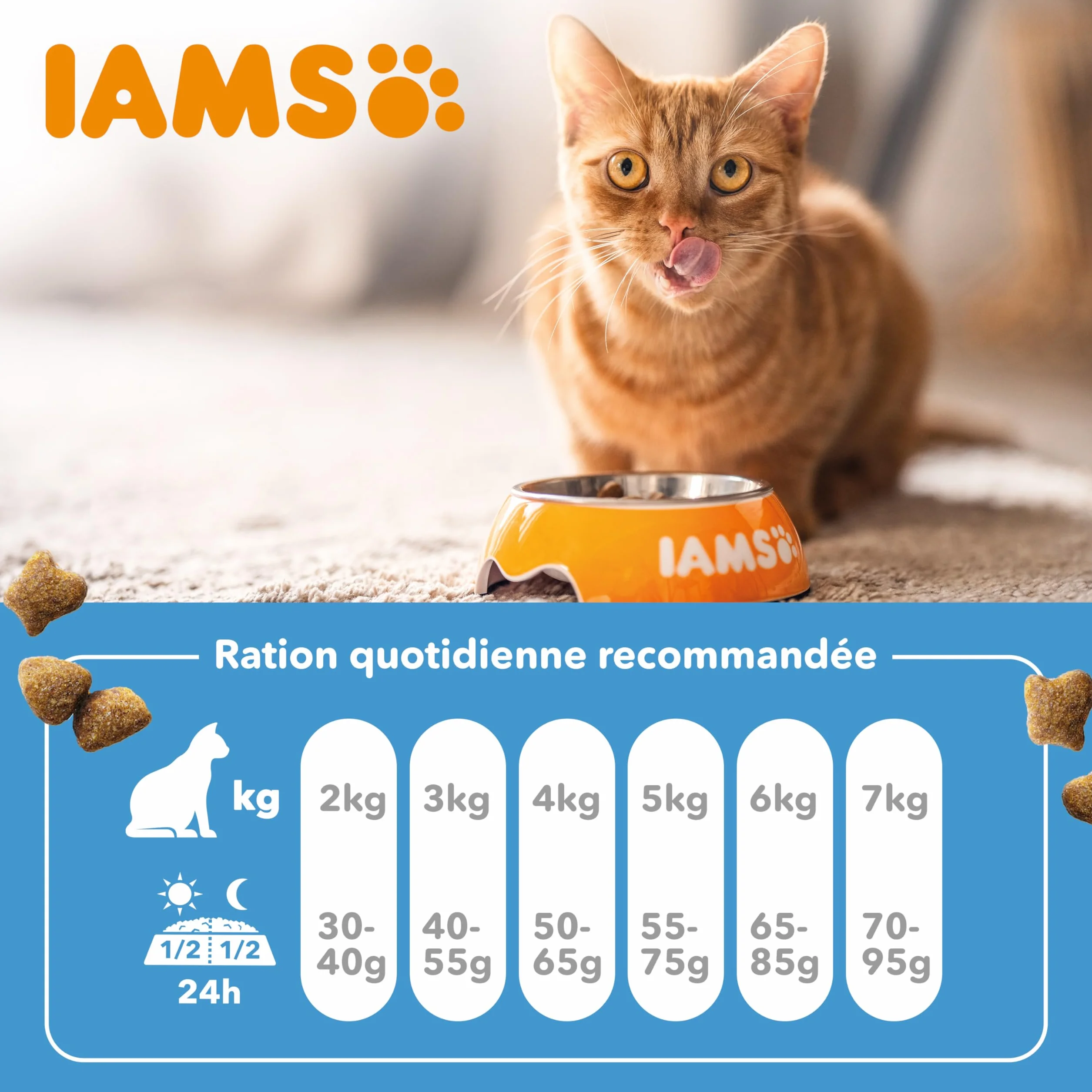 IAMS Croquette au Poisson pour Chat Adulte 10 kg
