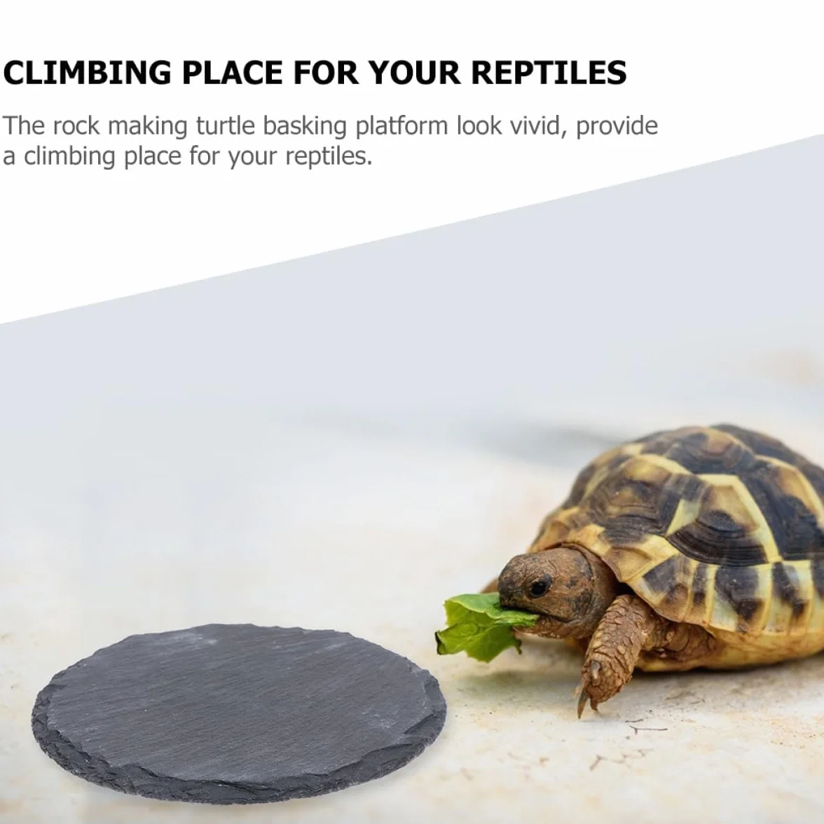Lot de 2 Plateformes en Pierre pour Tortues, Ardoise Naturelle 10x10 cm, Accessoire Terrarium Reptile