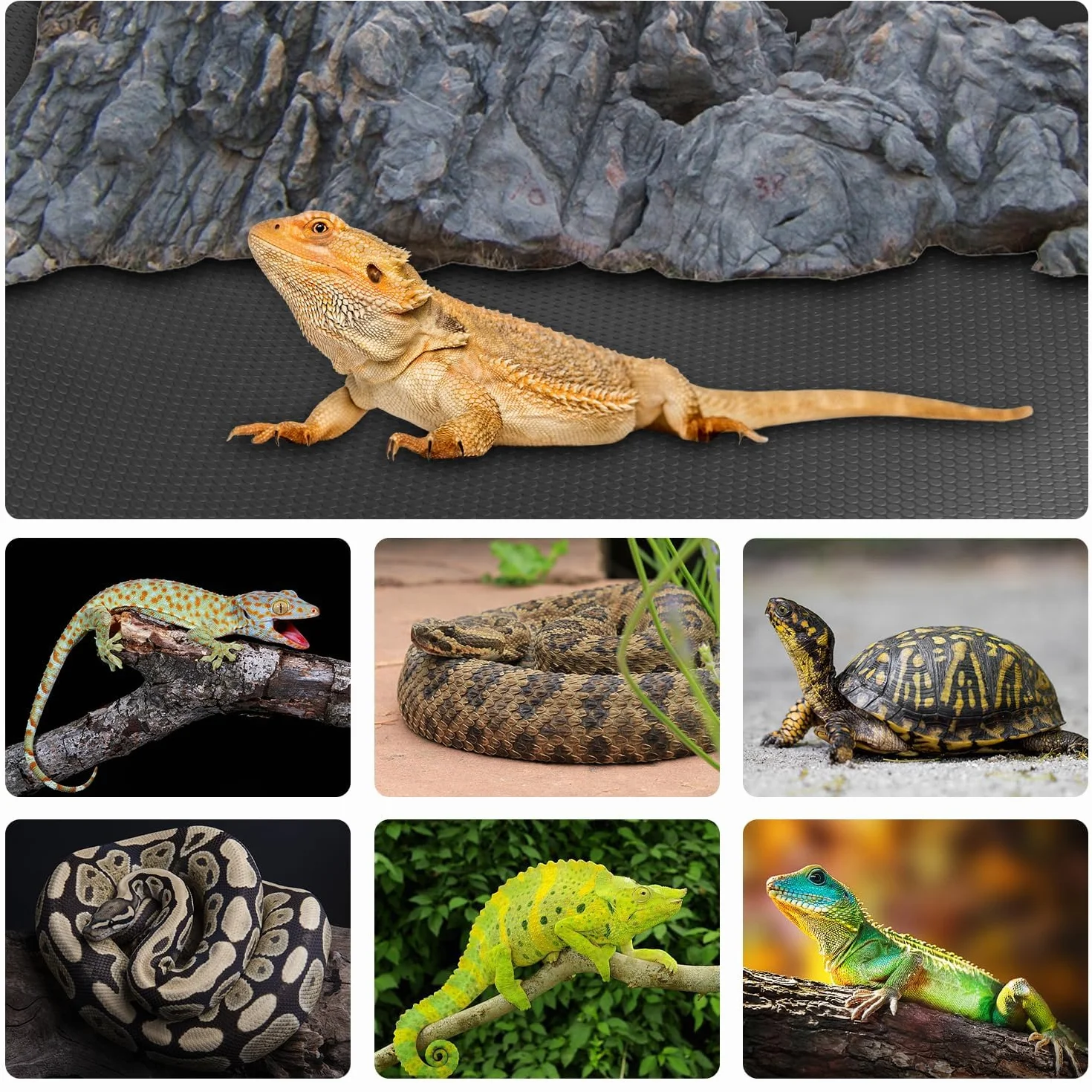 Tapis de terrarium 370 litres 10,2 x 5,1 x 5,1 cm substrat pour reptile dragon barbu gecko lézard tortue