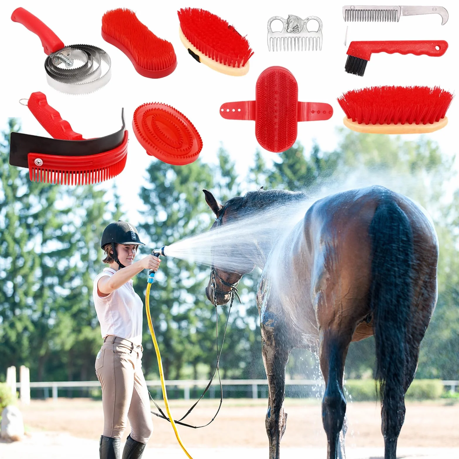 Brosses Pour Chevaux 10 Pièces Ensemble De Soins De Toilettage Nettoyage Brosse Équestre Accessoires Massage