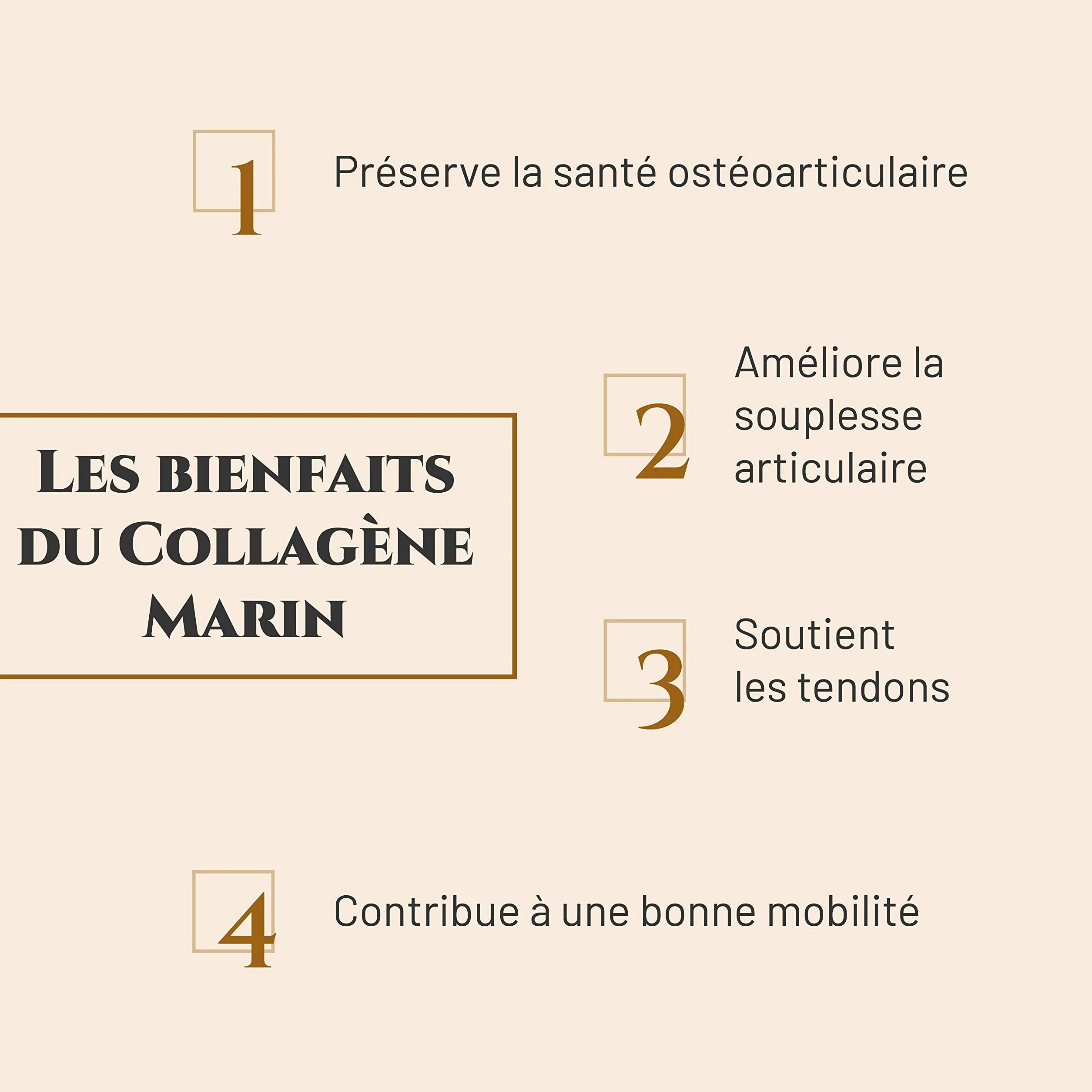 COLLAGÈNE Marin Complément nutritionnel Cheval Seau 600 g Souplesse articulations Soutien tendons