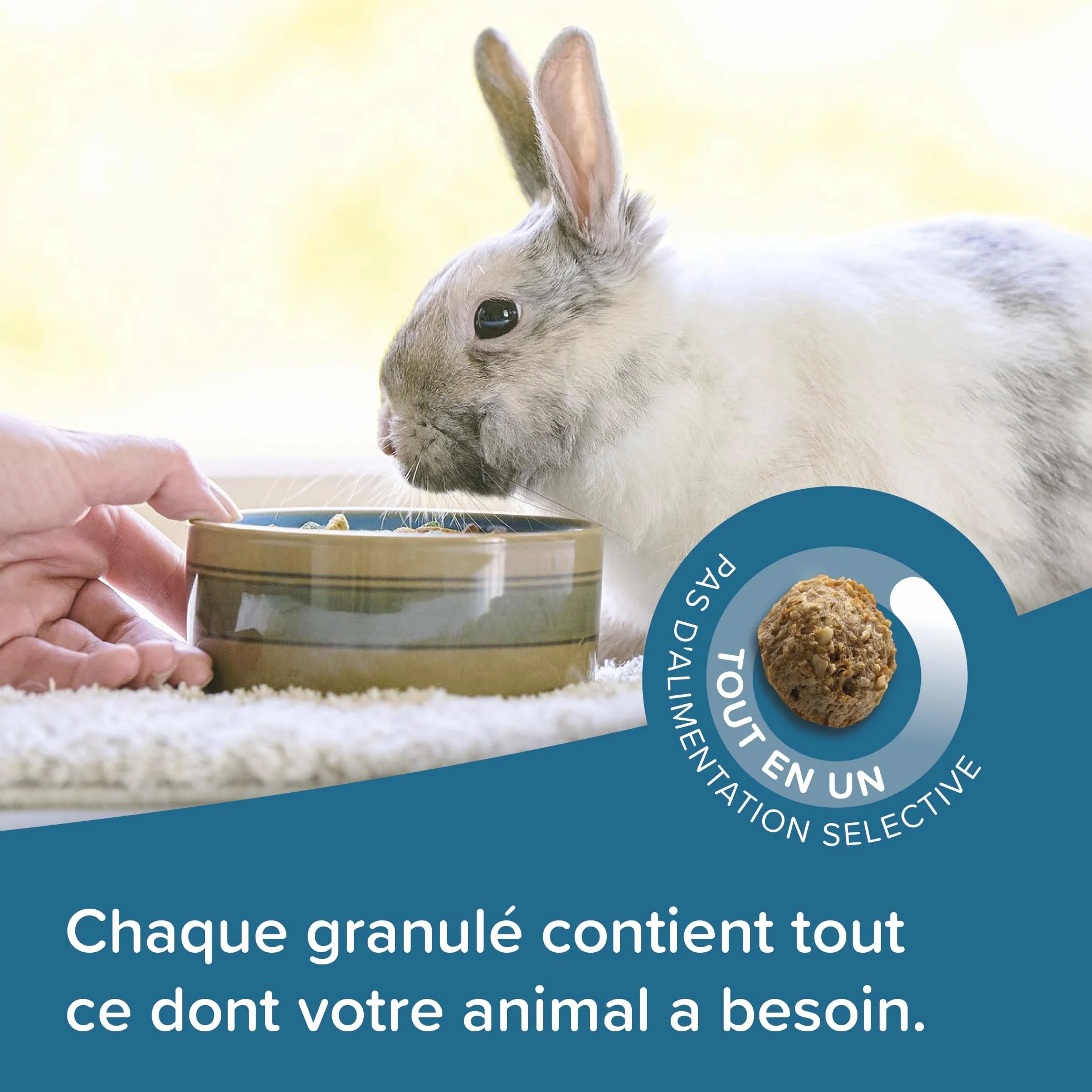 BEAPHAR Care+ Alimentation Super Premium extrudée pour Lapin 25% Fibres 1,5 kg