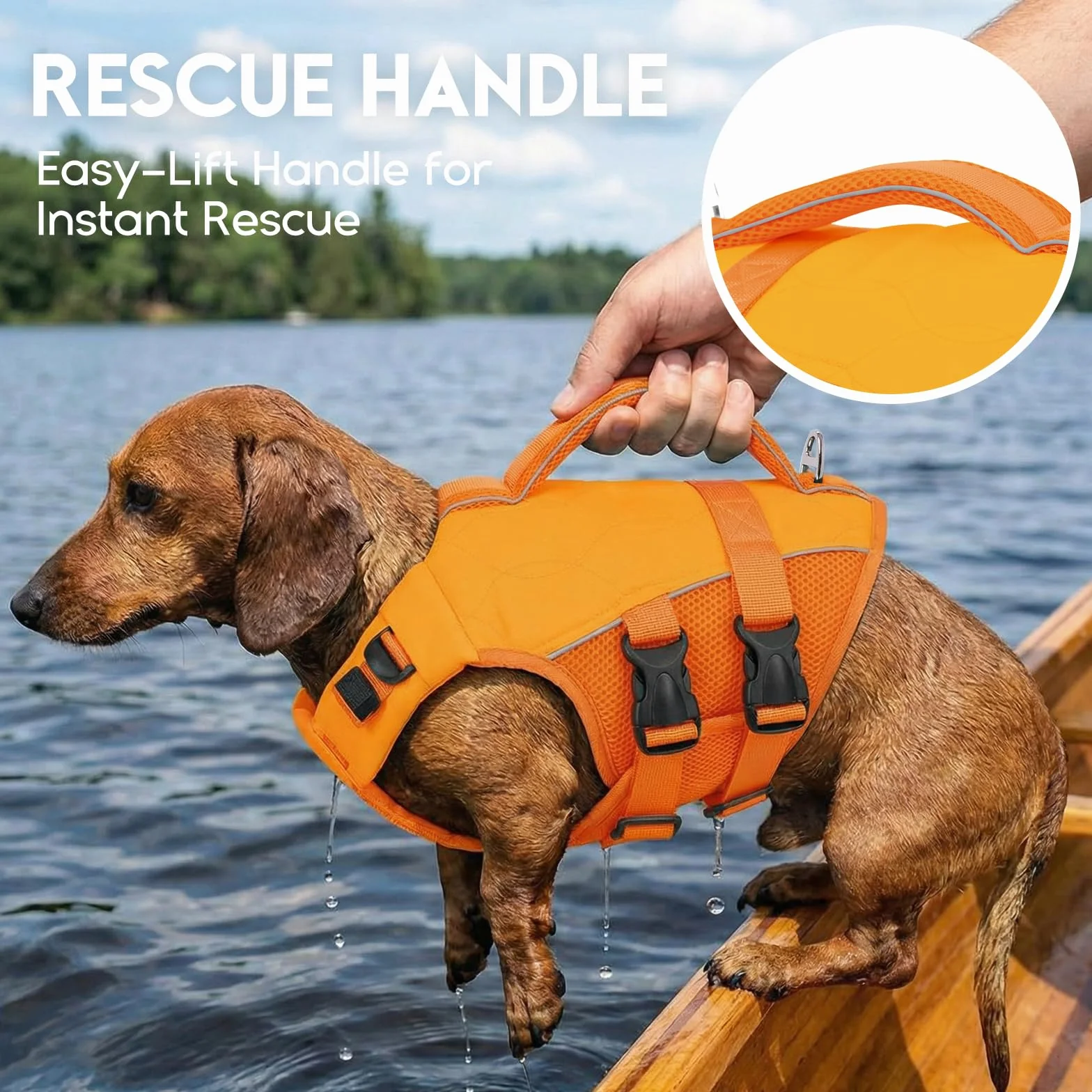 Gilet de Sauvetage pour Chien Taille L Grands Chiens Haute Flottabilité Réfléchissant Natation Plage Bateau