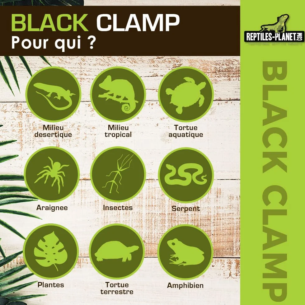 REPTILES PLANET Grille de Protection pour Support d'Ampoule Black Clamp 18
