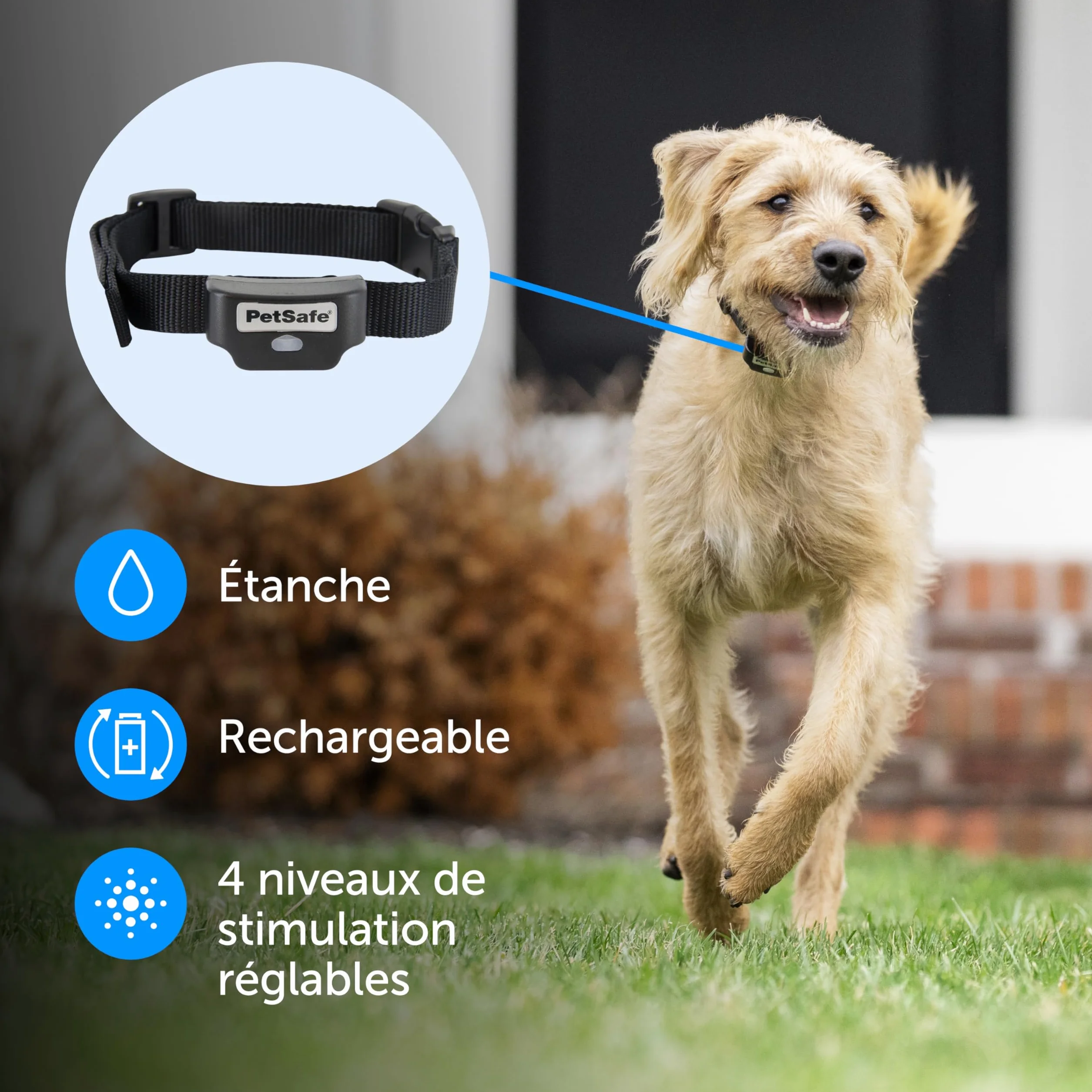 PetSafe PIG19-16413 Clôture Anti-Fugue Filaire Collier Rechargeable Étanche