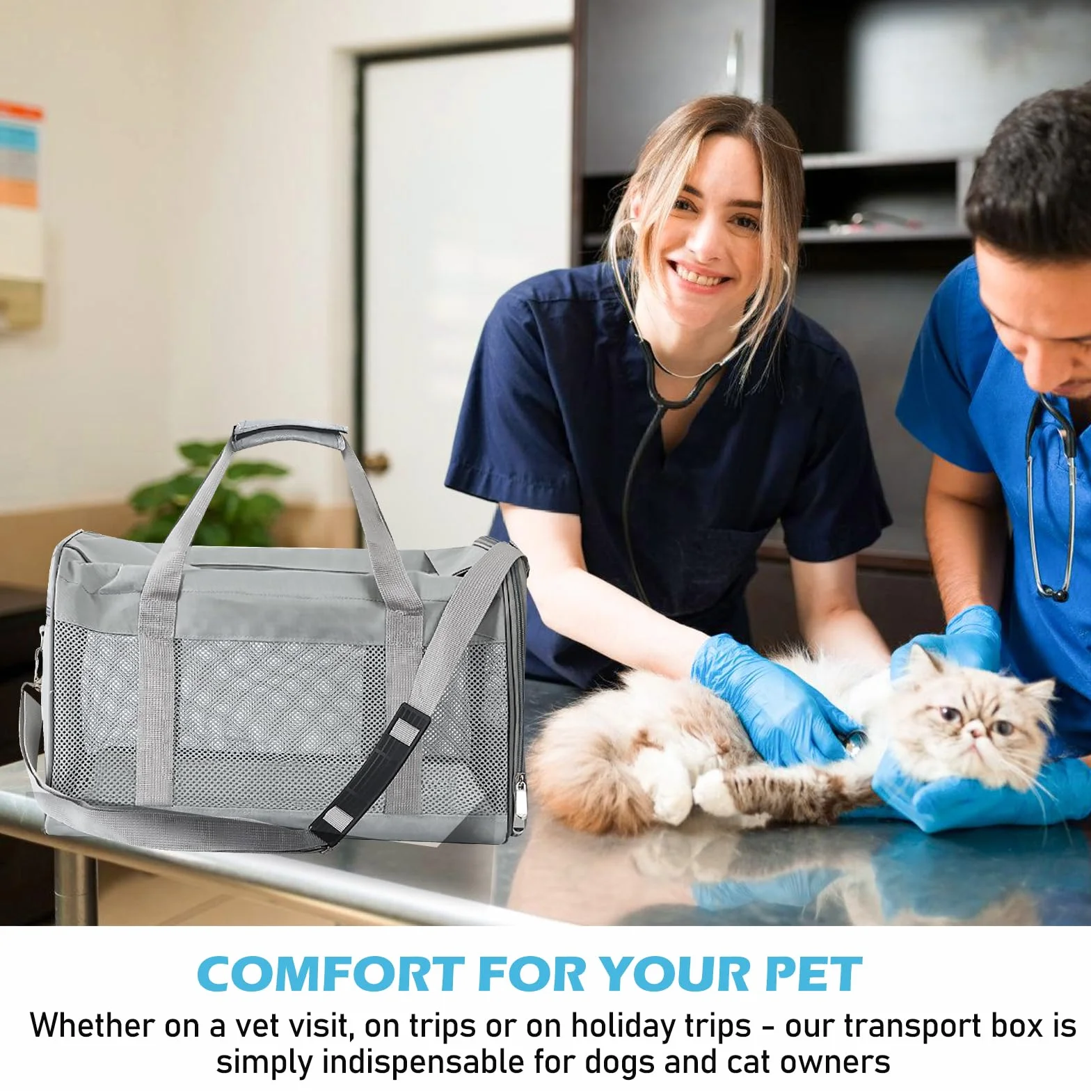 Vegena Sac Transport Chat Chien Caisse Pliable 42 x 27 x 28 cm