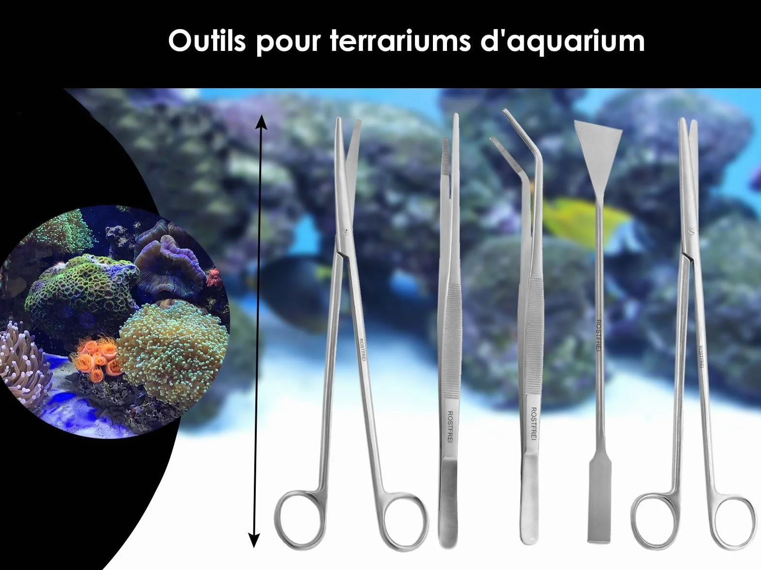 Kit complet pour aquarium-terrarium en acier inoxydable - Pinces, ciseaux, spatule à gravier