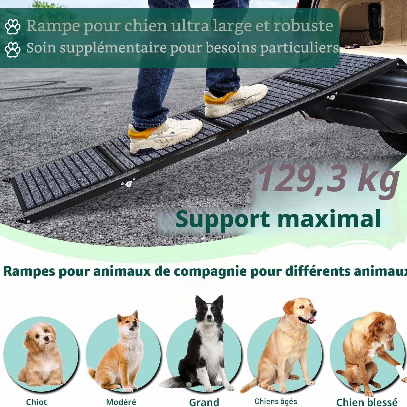 Rampe pour chien de 180 cm de long et 50 cm de large, pliable, avec tapis antidérapant, pliable pour l'extérieur, escalier, voiture, pour chiens de taille moyenne et grande dans un SUV et un camion