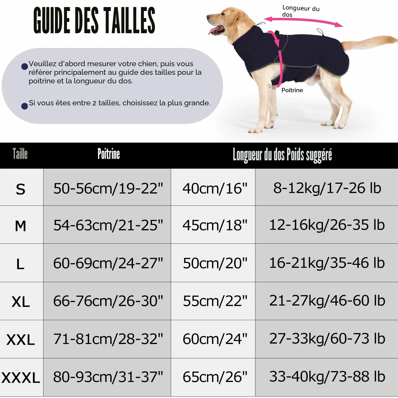 HEYWEAN Manteau Chien Imperméable Chaud Doublée Polaire Réfléchissante D-Ring Hiver