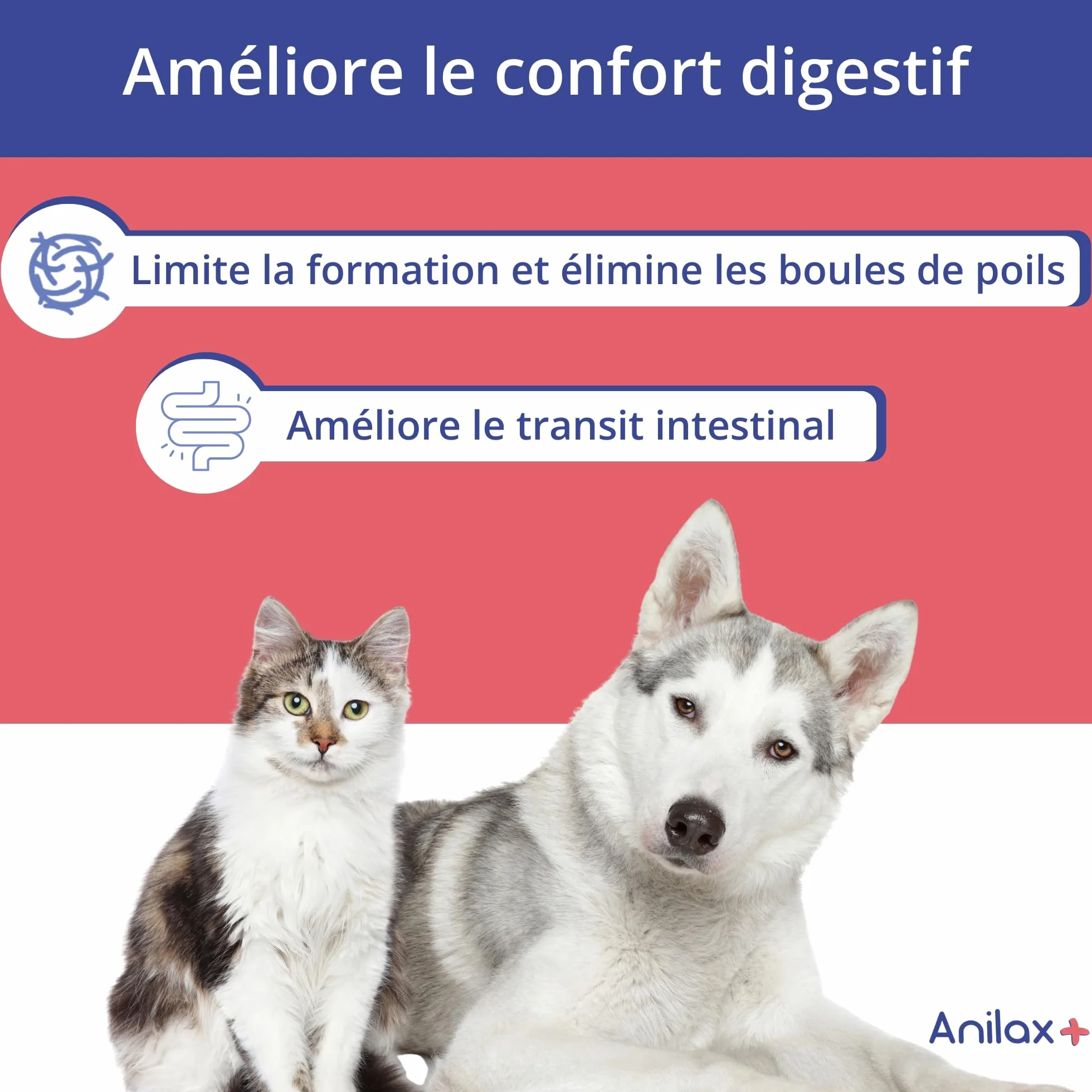 Anidev Anilax+ Aliment complémentaire Transit Chats Chiens Anti Boules de Poils Malt Psyllium Tube 40 g