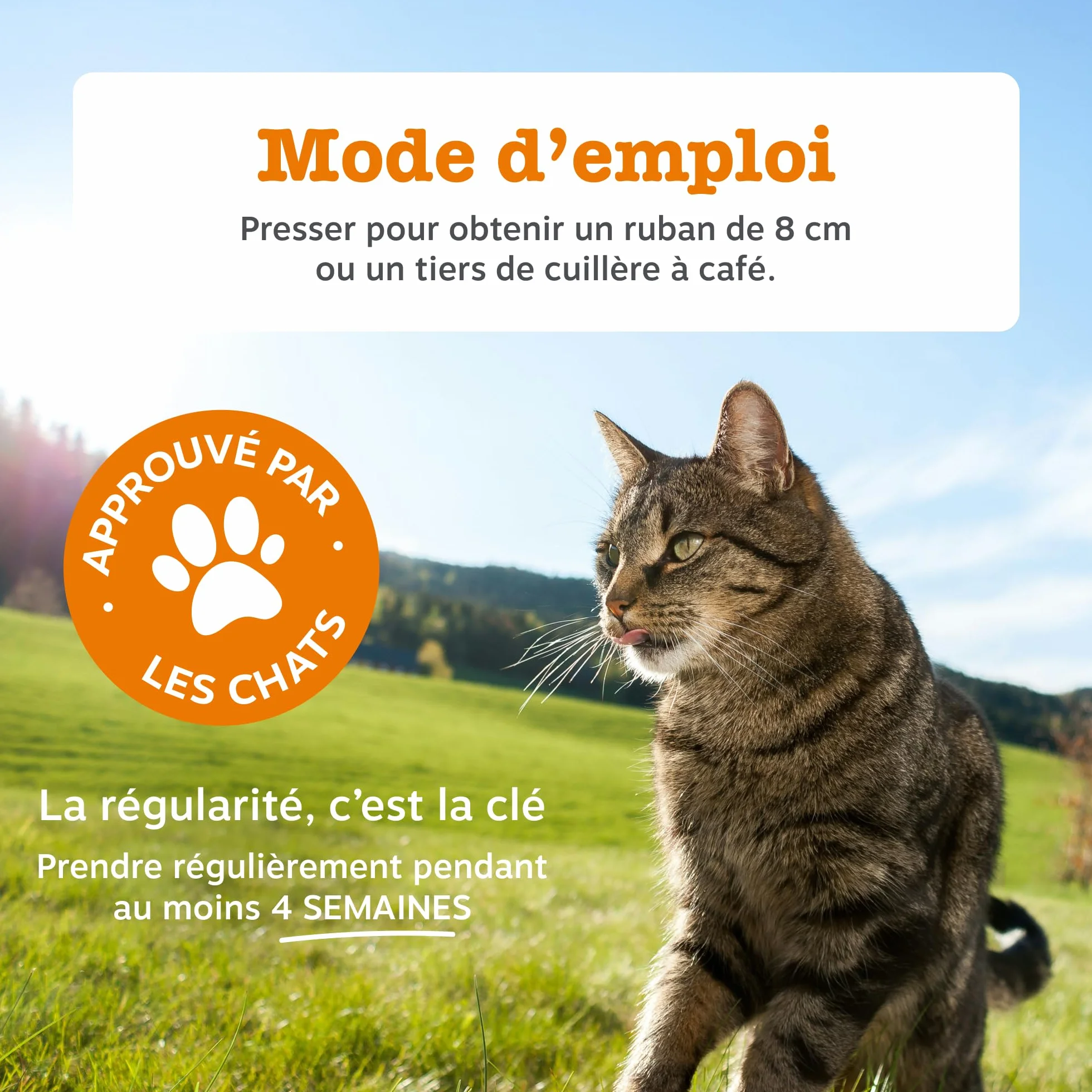 Zesty Paws Pâte Anti-Boule de Poils Chats Omega-3 Psyllium Inuline Extrait de Malt 75g