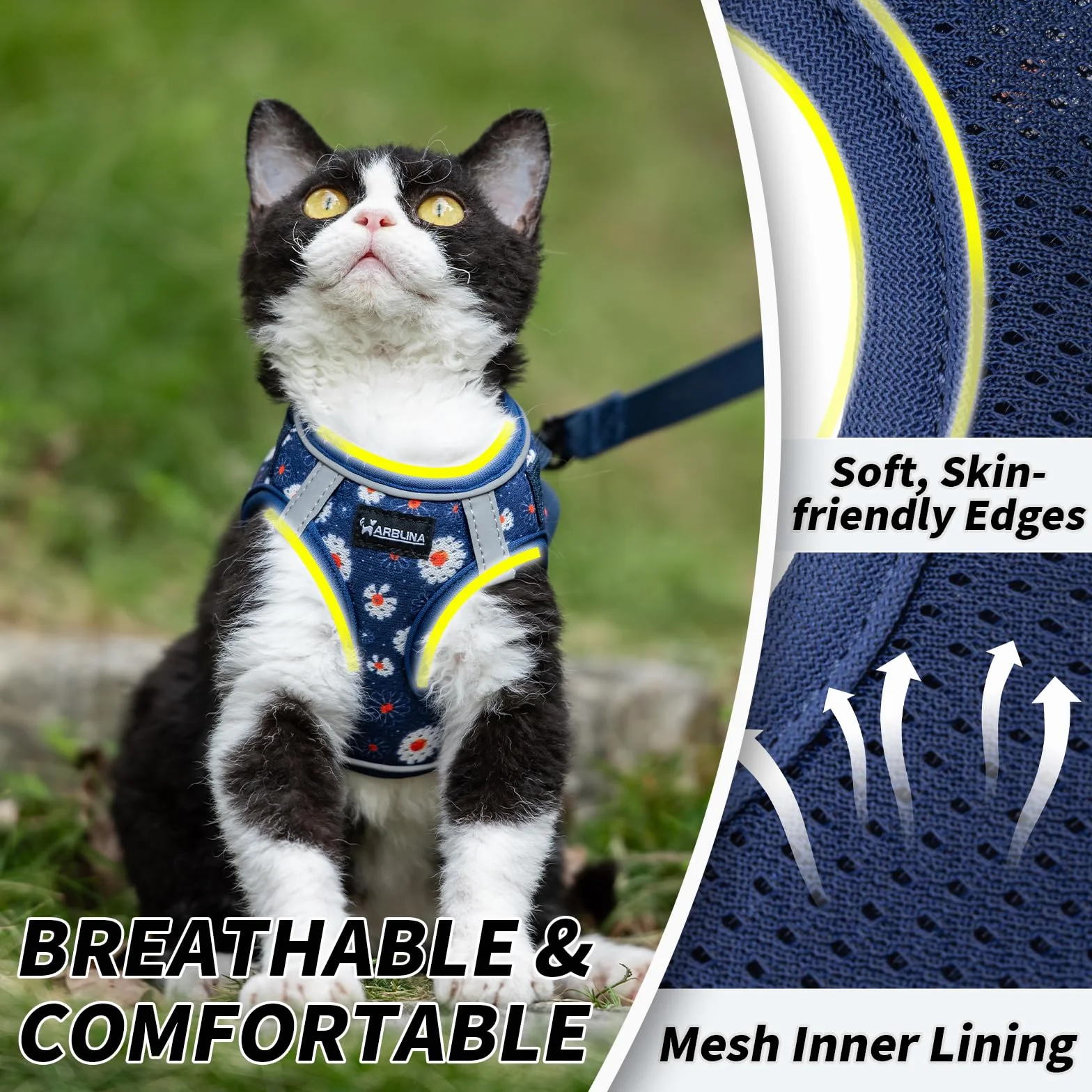 Harnais pour Chat Arblina avec Laisse Souple et Respirant Réflecteurs, Bleu XS