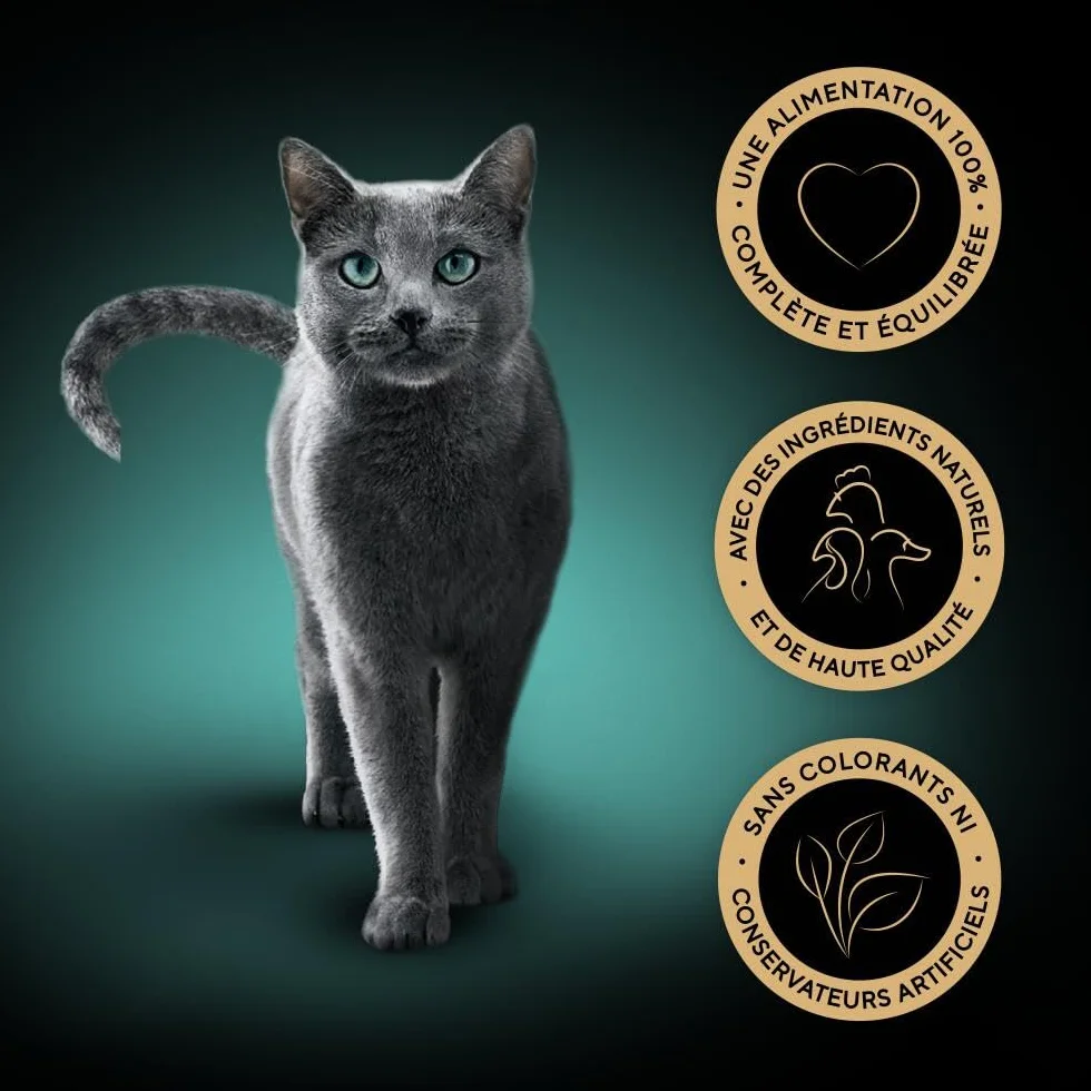 SHEBA Mini Filets en Sauce Sélection à la Volaille barquettes pour Chat Adulte 4 variétés Mega Pack 32x85g