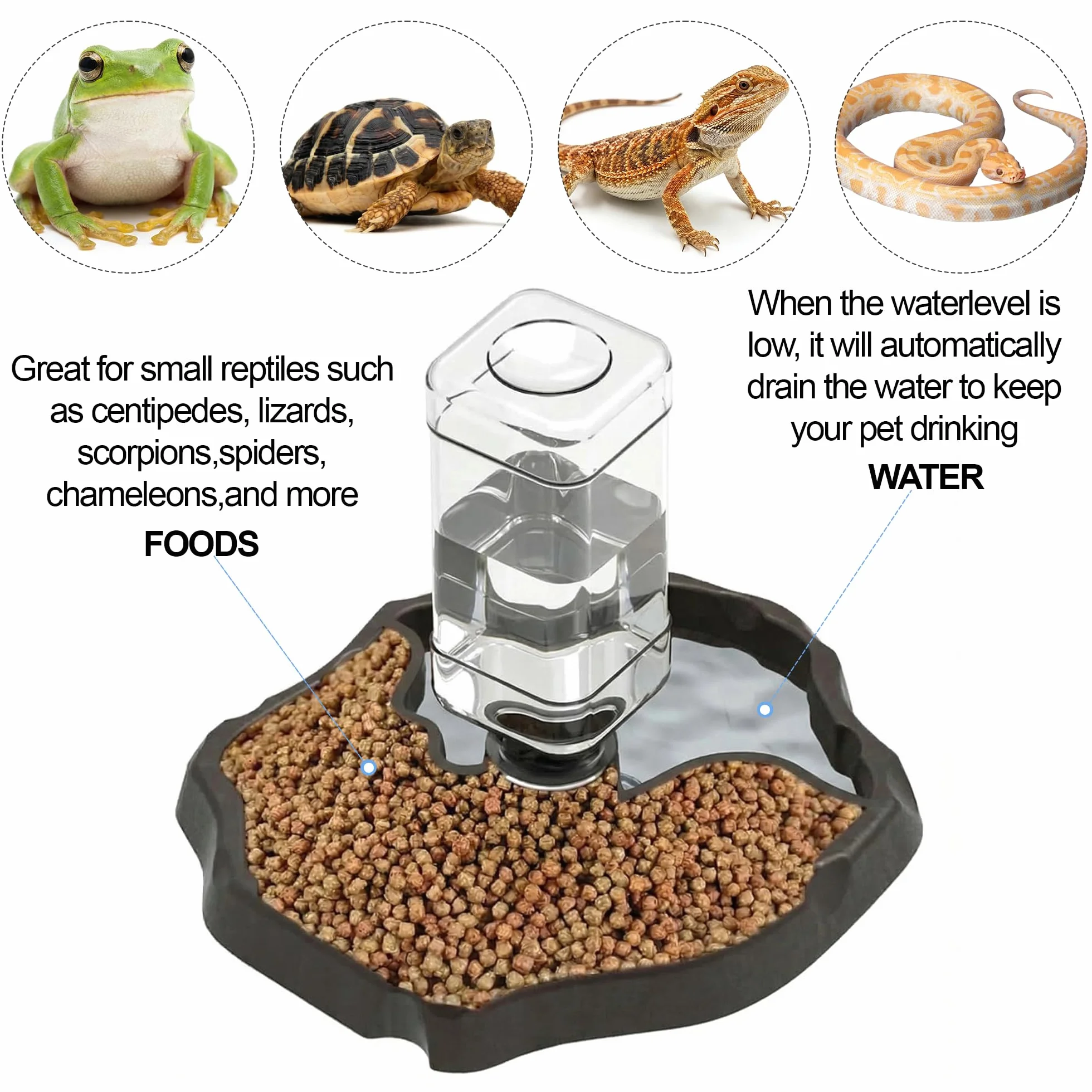 Distributeur d'eau pour Reptile 2 en 1 Mangeoire Gamelle Tortue Terrestre Bouteille Incluse
