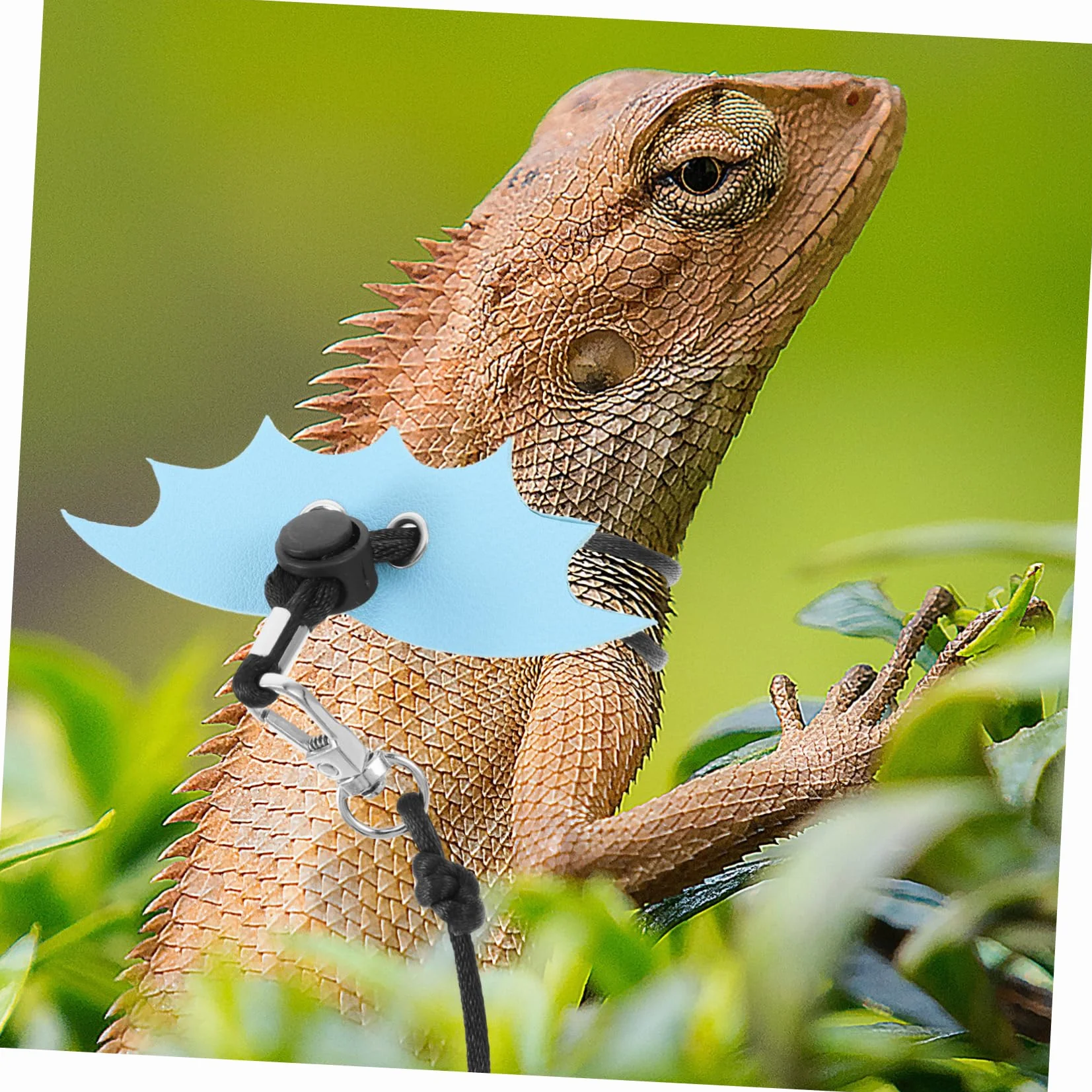 Laisse Réglable pour Reptiles Lézards Petits Animaux Design Unique Sorties Extérieur