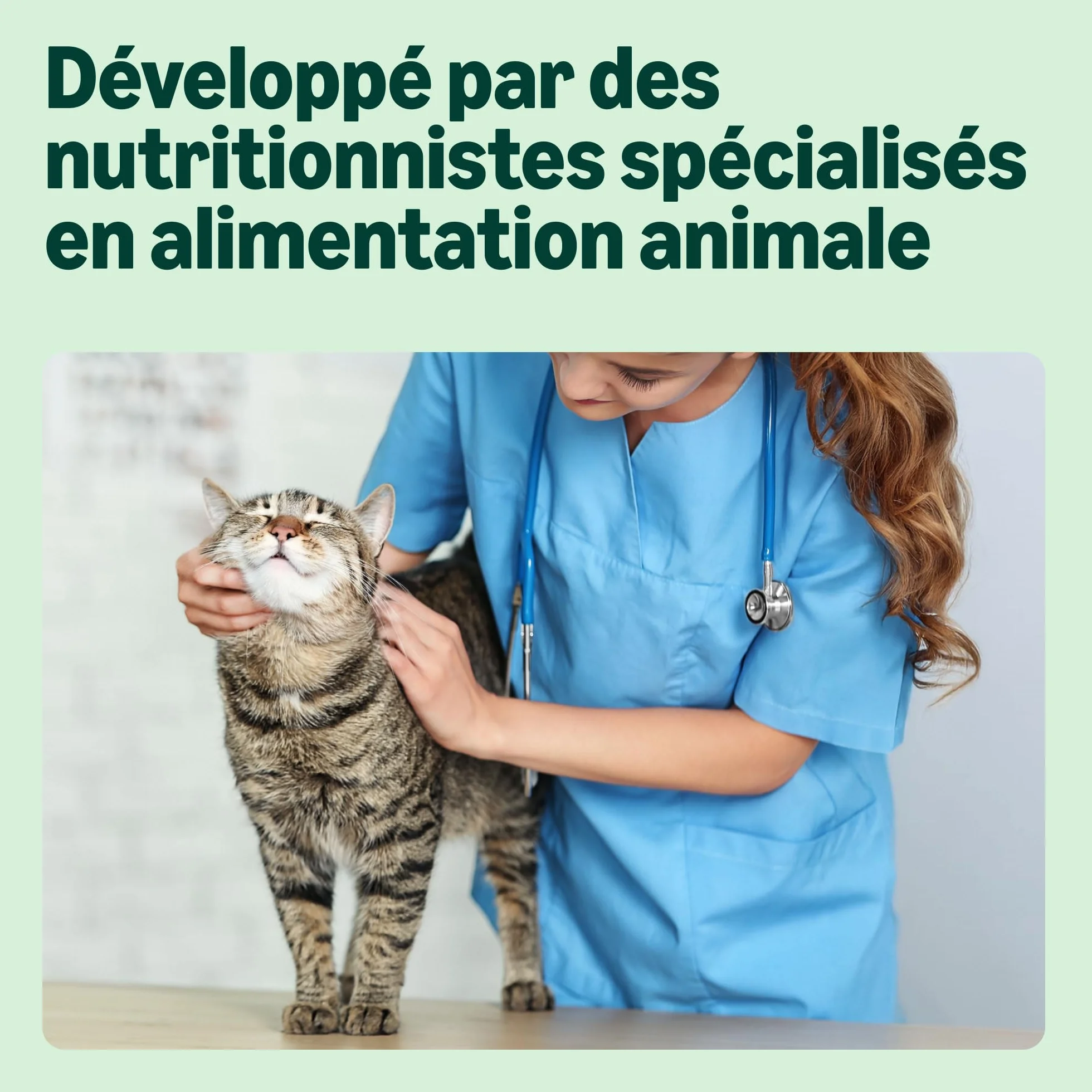 Amazon Aliment pour chat adultes sans céréale saumon frais 3kg