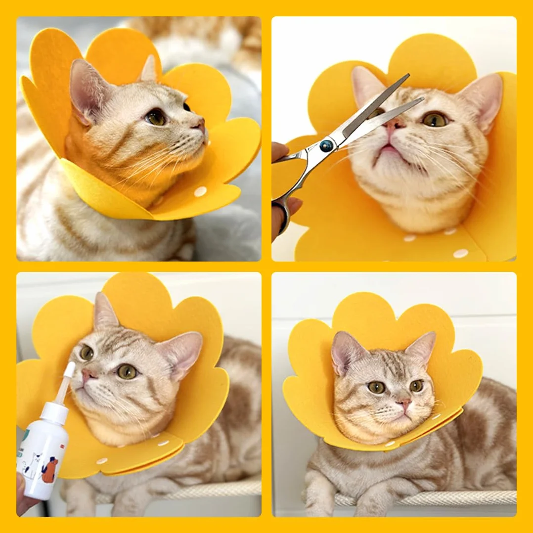JEYORZY Collier de Protection Doux pour Chats Anti-Morsure Taille S Jaune Felt