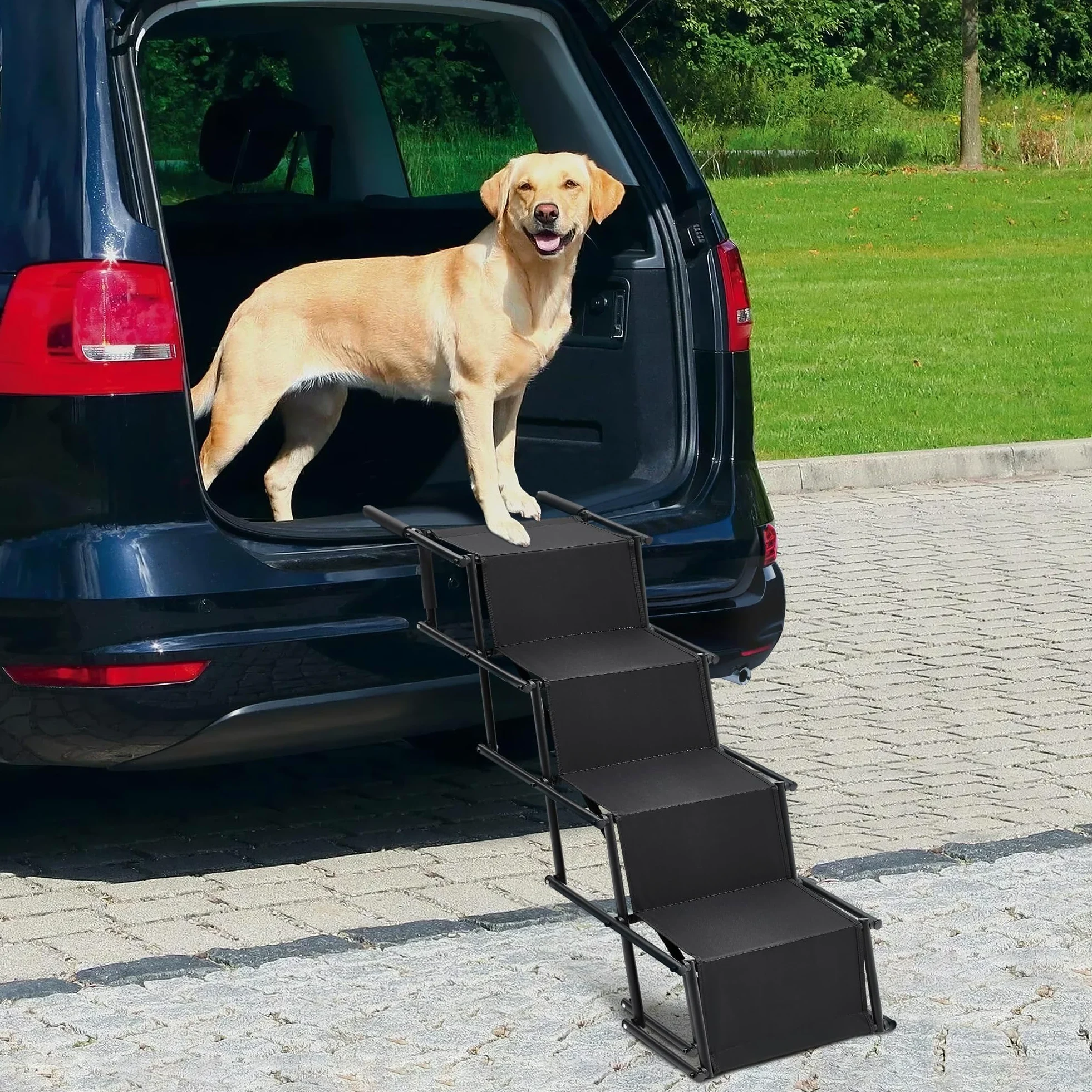 The Fellie Rampe pliable pour chien, marches portables pour chien, lit haut, 2 hauteurs réglables avec rampes de sécurité antidérapantes pour voitures, rampe d'escalier légère pour animaux de