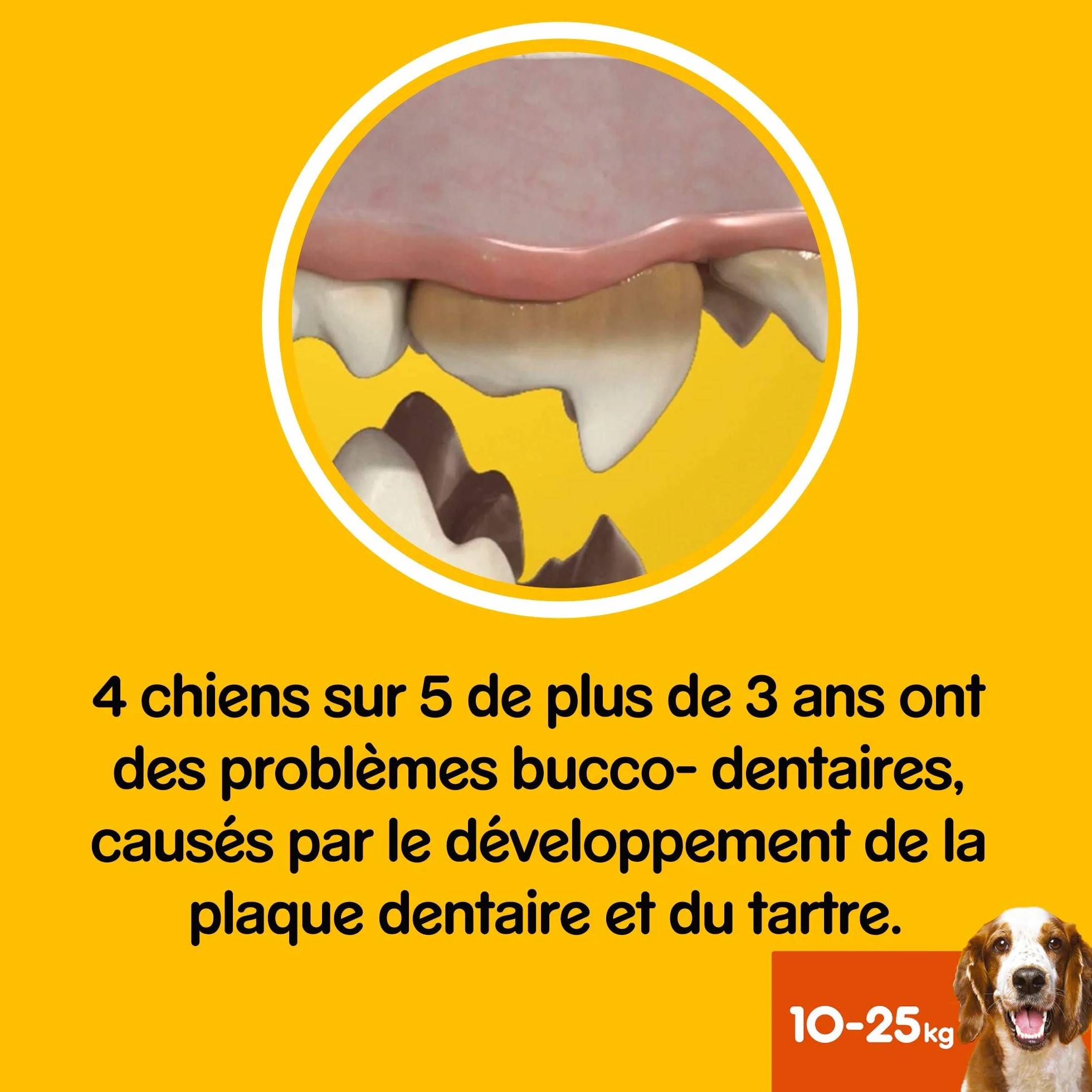 Pedigree Dentastix Fresh Friandises pour chien moyen, 7 bâtonnets hygiène bucco-dentaire 200 g