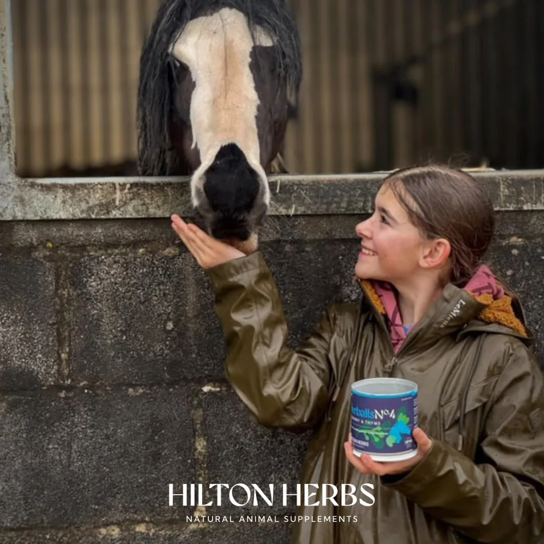 Hilton Herbs Herballs 500 g