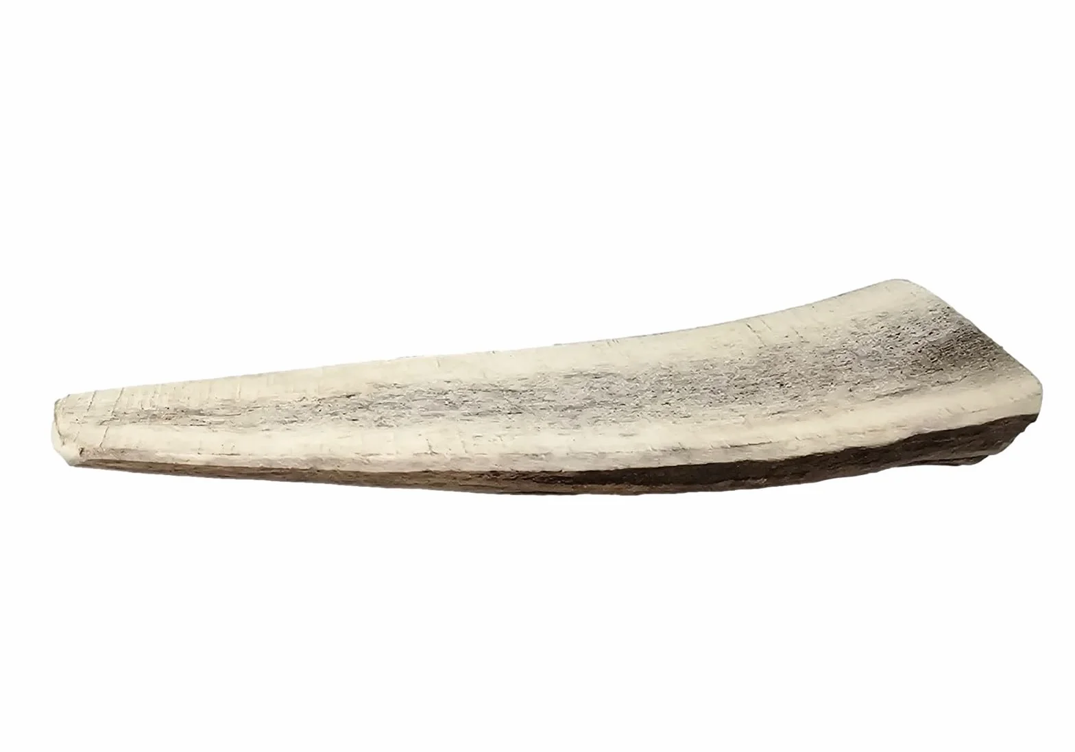 Bois de Cerf Fendu pour Chiens, Corne de Cerf Tranché à Mâcher, Mastication Légère S - 1 Un.