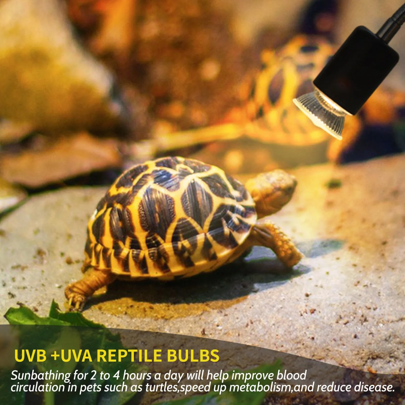 Caldarax Ampoule Chauffante Terrarium E27 Dimmable 25W UVA UVB Lampe Reptile 230V Lot de 2