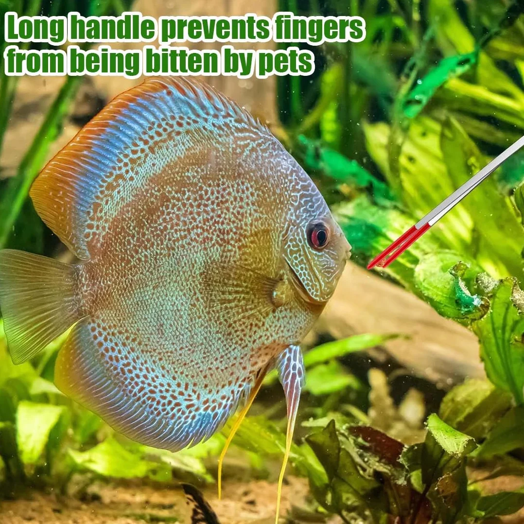 Pinces À Épiler En Acier Inoxydable 27 CM Incurvées Droites Pour Aquarium Terrarium