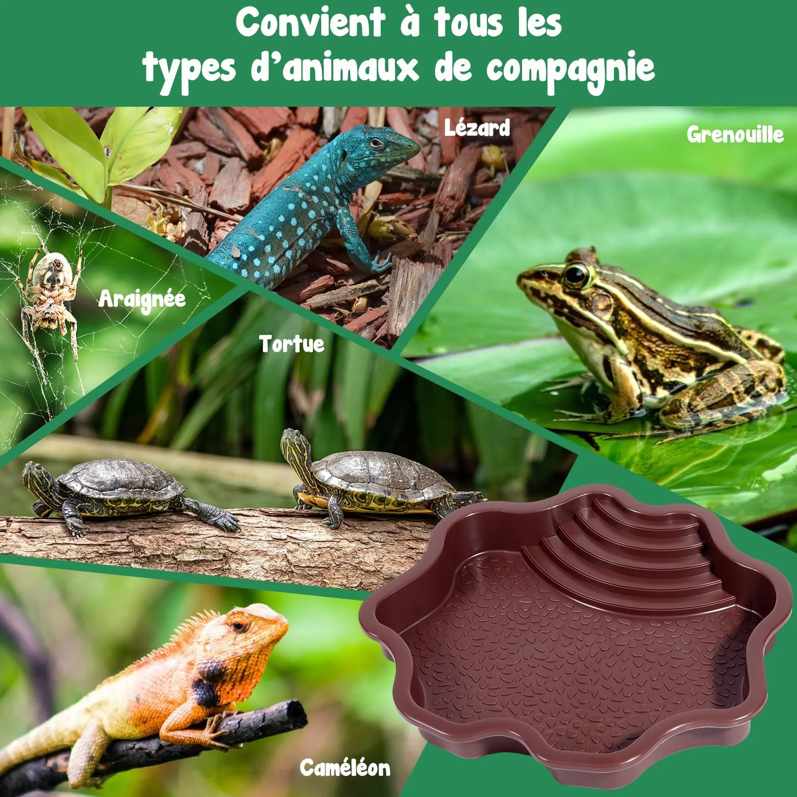 MagiDeal Bol de Bain d'eau pour Tortue, Piscine pour Reptiles avec Rampe, Rouge Brunâtre