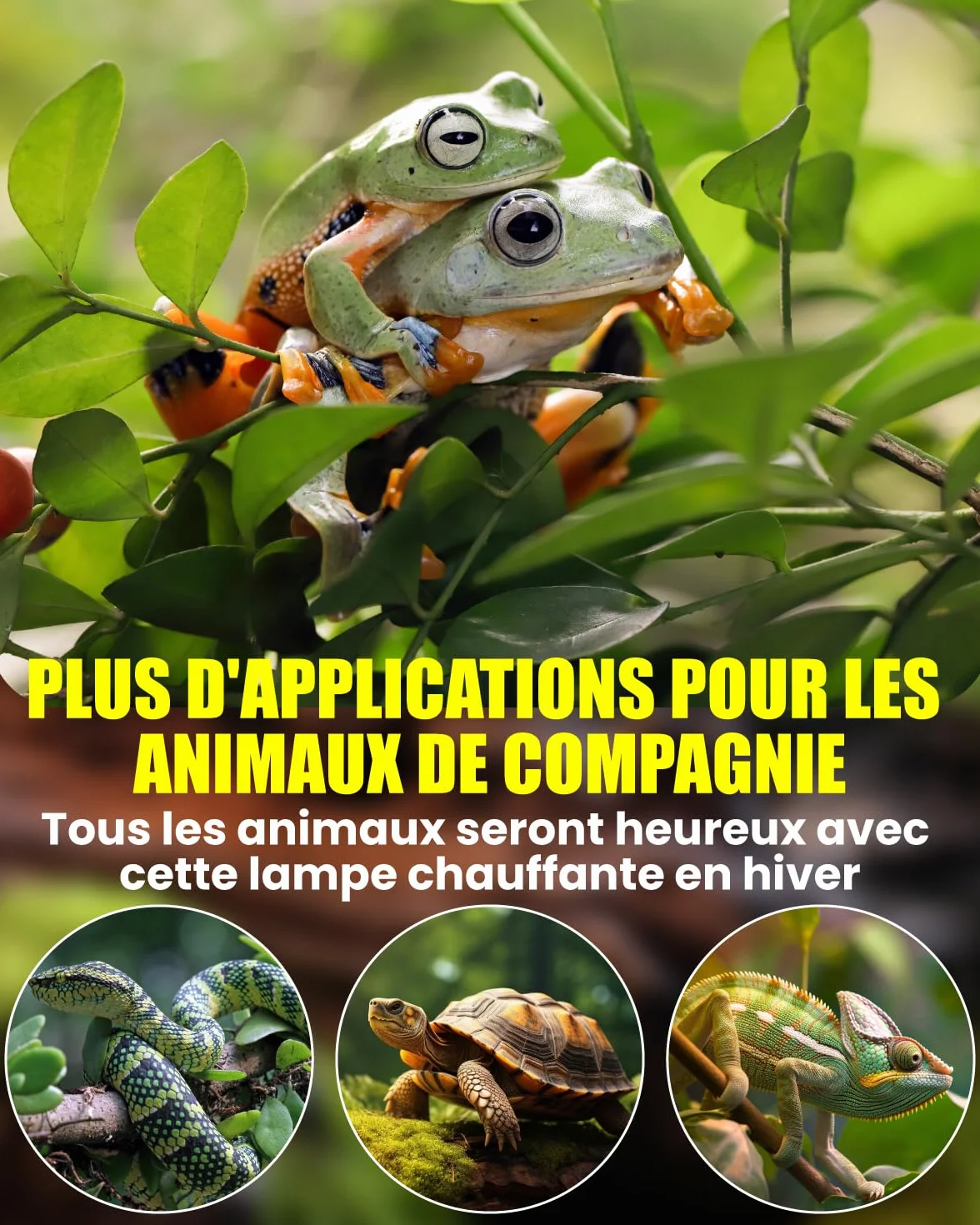 Lampe Chauffante Reptiles Tortue UVA UVB 50W E27 avec Douille Flexible 360° Rotation