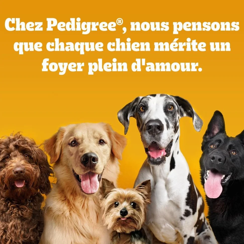 Pedigree Schmackos Multi Mix 110 lamelles friandises pour Chien Bœuf, Volailles et Agneau Mega Box