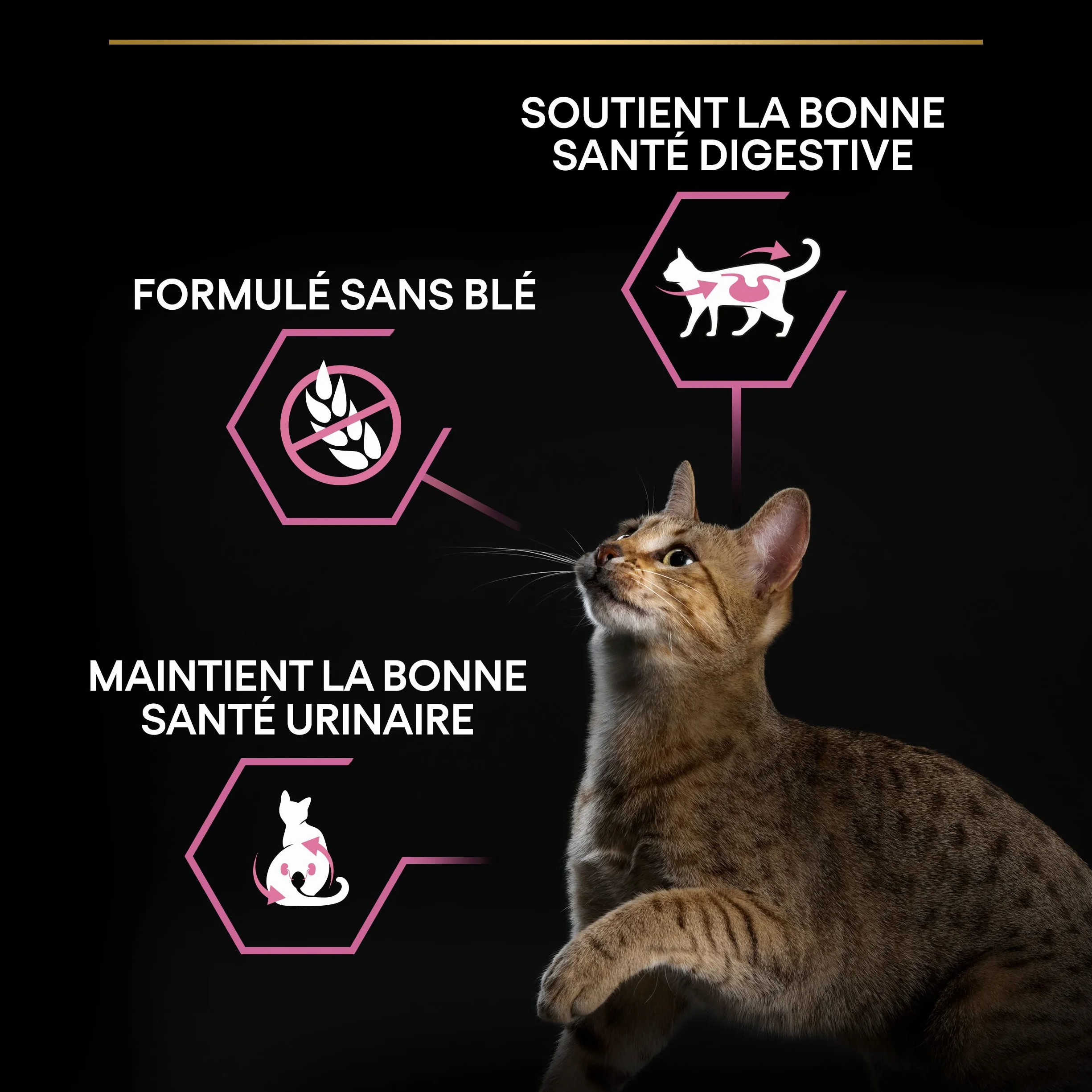PURINA PRO PLAN Adult DELICATE DIGESTION Aliment Complet pour Chat Adulte Stérilisé Croquettes Au Poulet Sac 10Kg