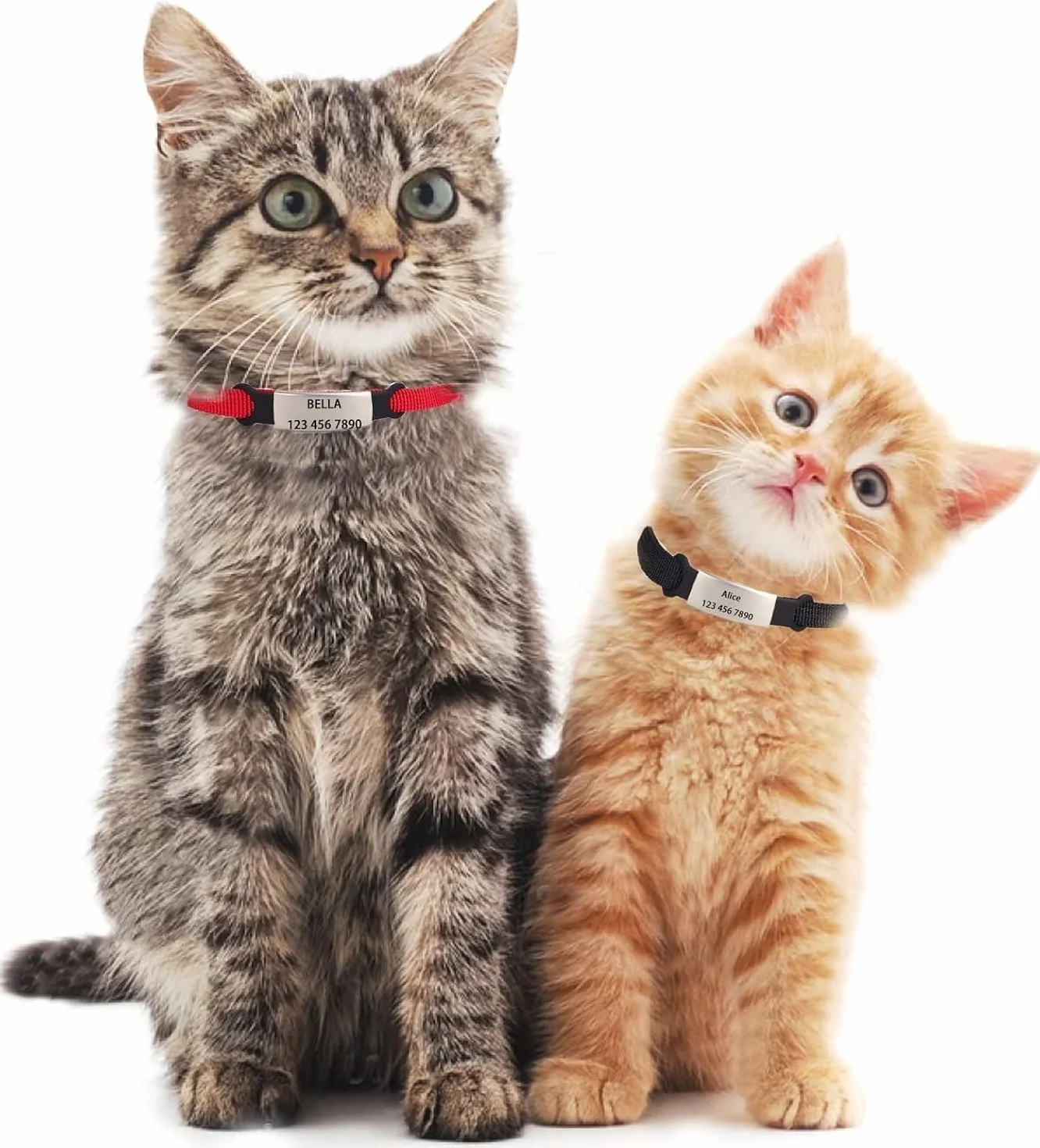 Colliers pour Chat Chaton avec Gravure personnalisée Prénom Téléphone 10 Couleurs