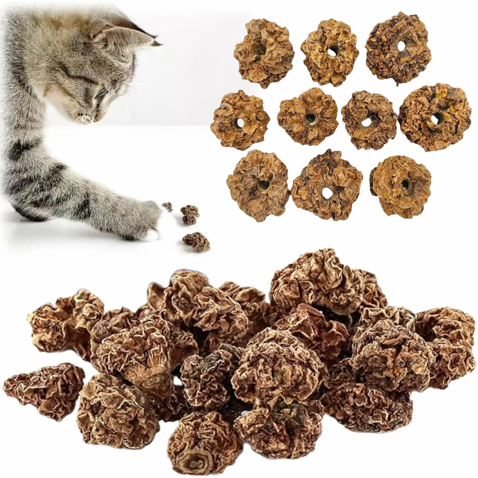 Matatabi Fruits Jouets pour Chat 20pcs