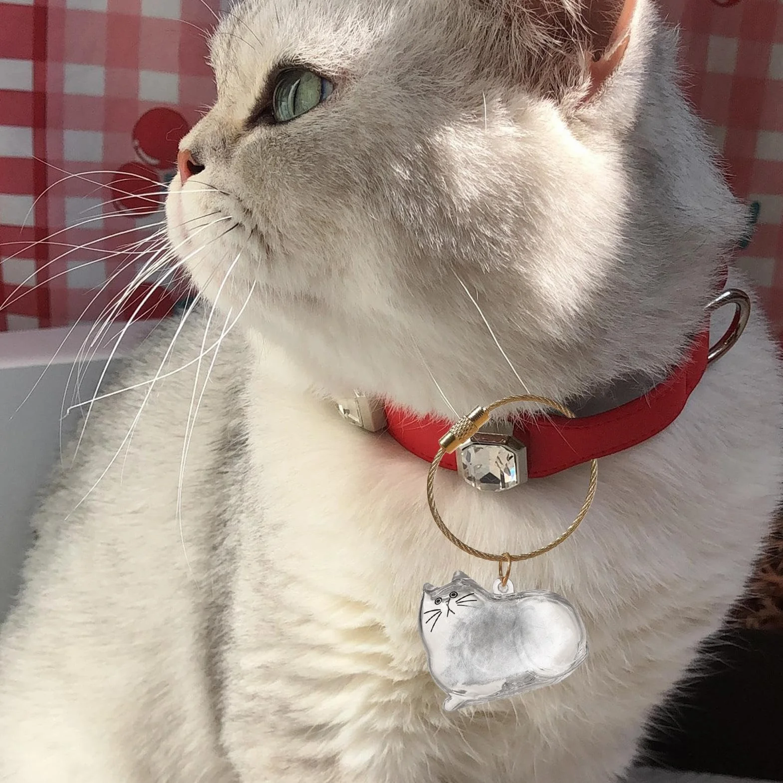 Porte-clés C-apsule Commémorative en Poils de Chat, Boîte Mémoriale pour Poils d'Animaux, Contenant Transparent Portatif