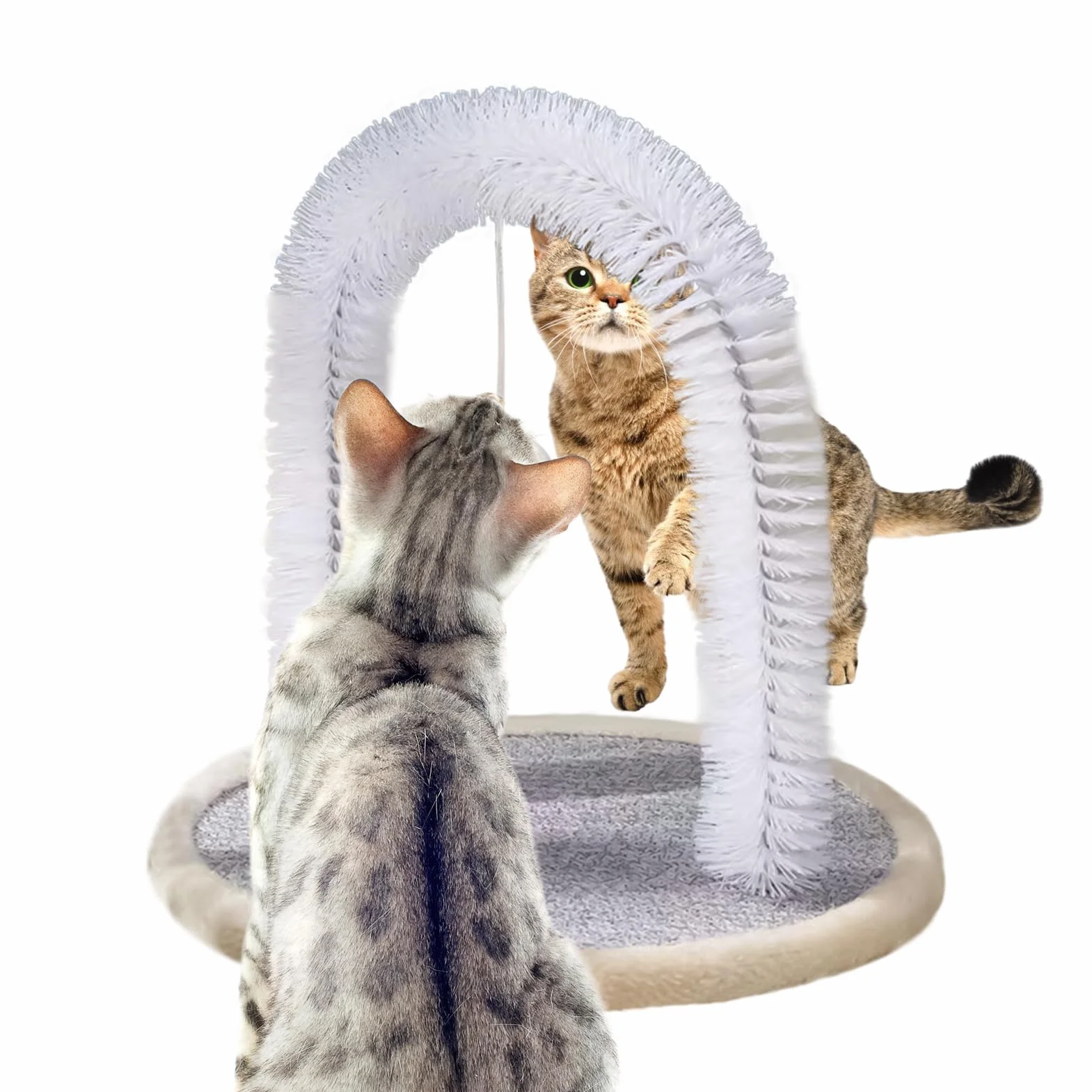 Brosse Autogrooming Pour Chat Avec Coussin Grattatoire Résistants aux Morsures Accessoires Toutes Tailles