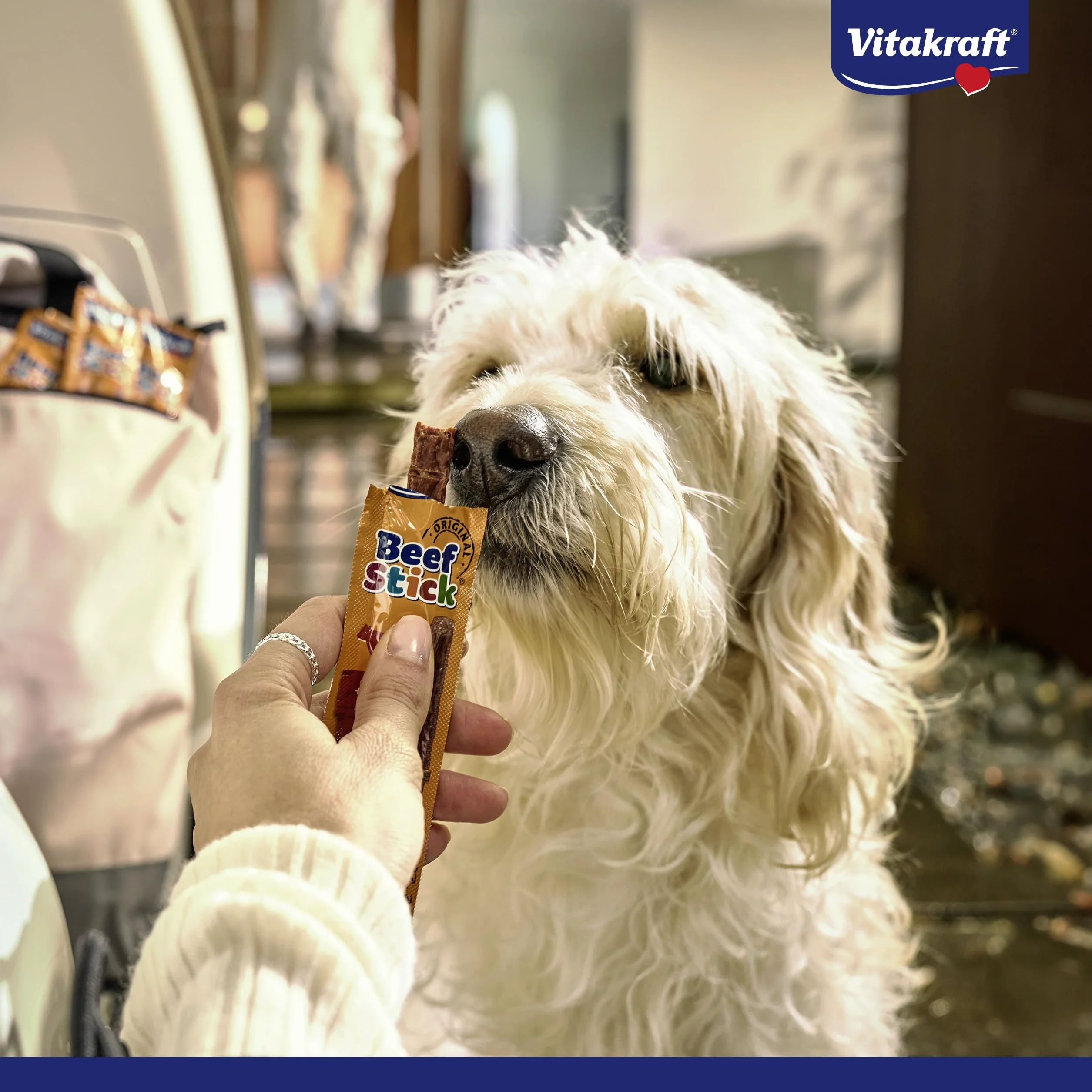 VITAKRAFT Beef Stick Friandise pour Chien Stick De Viande À La Dinde sans Sucres Ajoutés 1X 12G