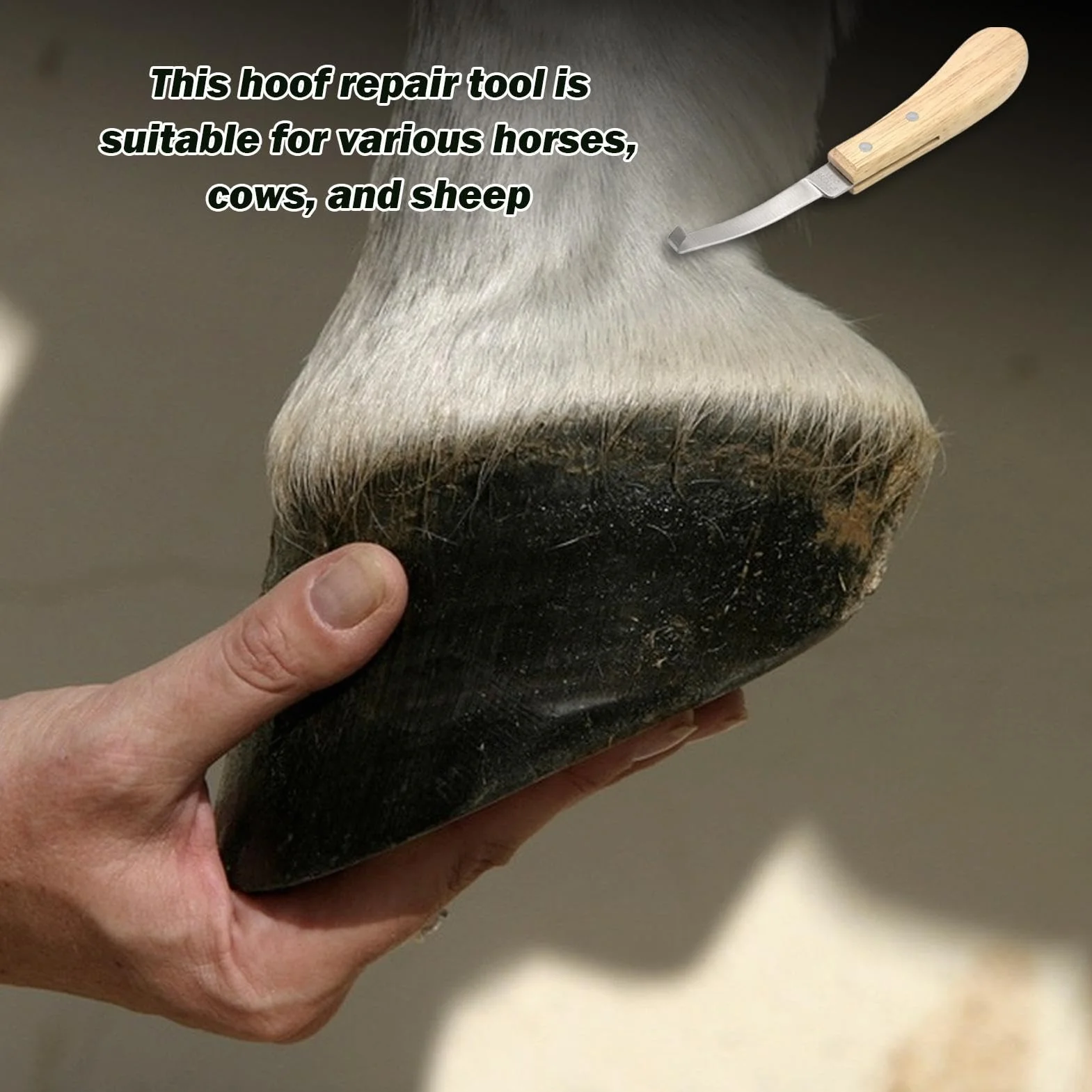Ciseaux à sabots de chèvre coupe-ongles acier inoxydable tondeuse à sabots manche en bois pour chevaux moutons chèvres vaches