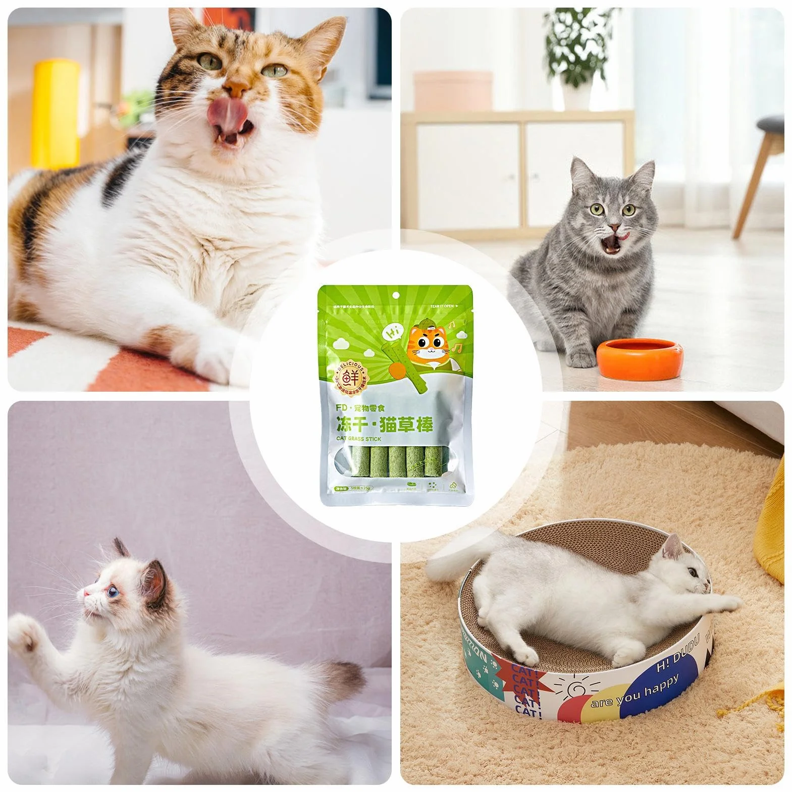 Bâtons à mâcher anti-stress pour chat - Jouets doux élimination boules de poils