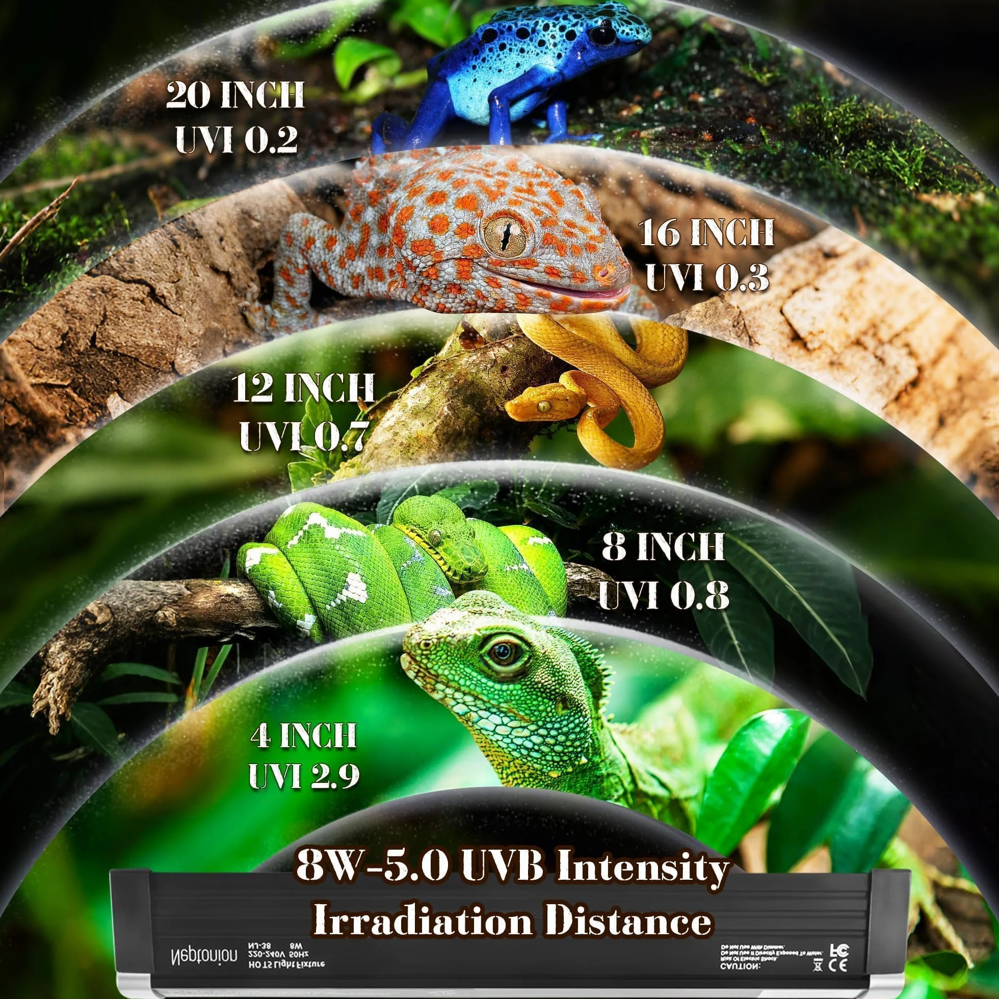 Lampe UVB T5 31,8 cm 8 W pour reptile terrarium avec ampoule UVB 5.0