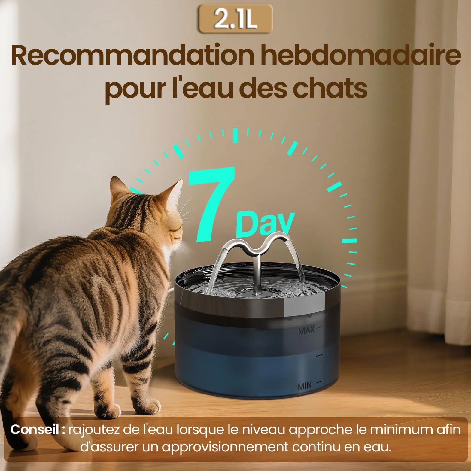 Fontaine à Eau Chat 2.1L avec Lampe LED et Pompe Silencieuse, Distributeur pour Chien, 3 Filtres et Éponges Inclus